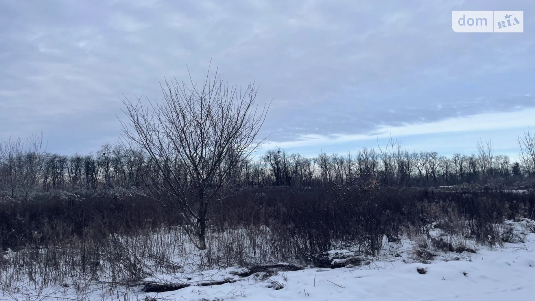 Бохоники, цена: 12900 $ - фото 2