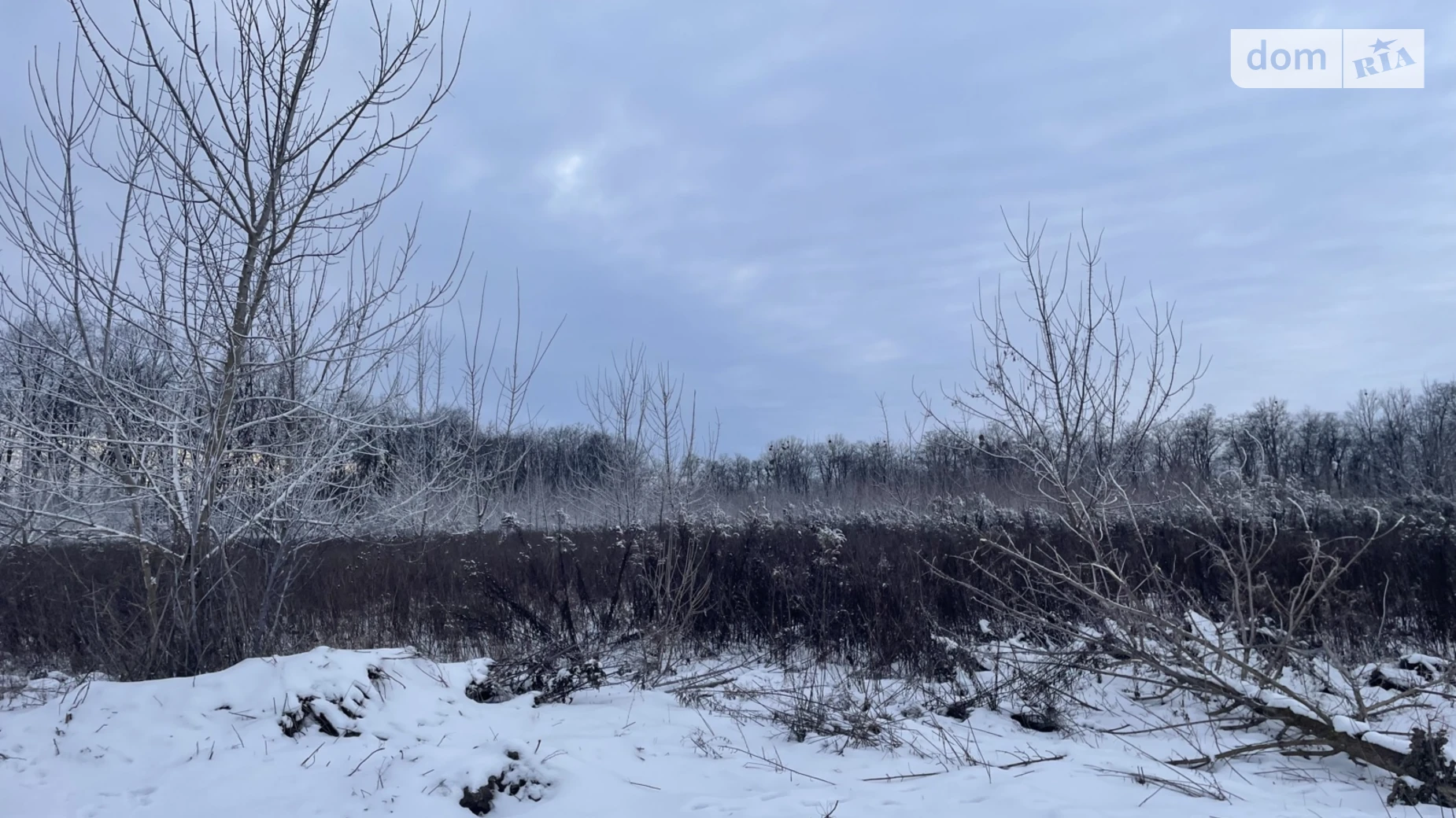 Бохоники, цена: 12900 $ - фото 3