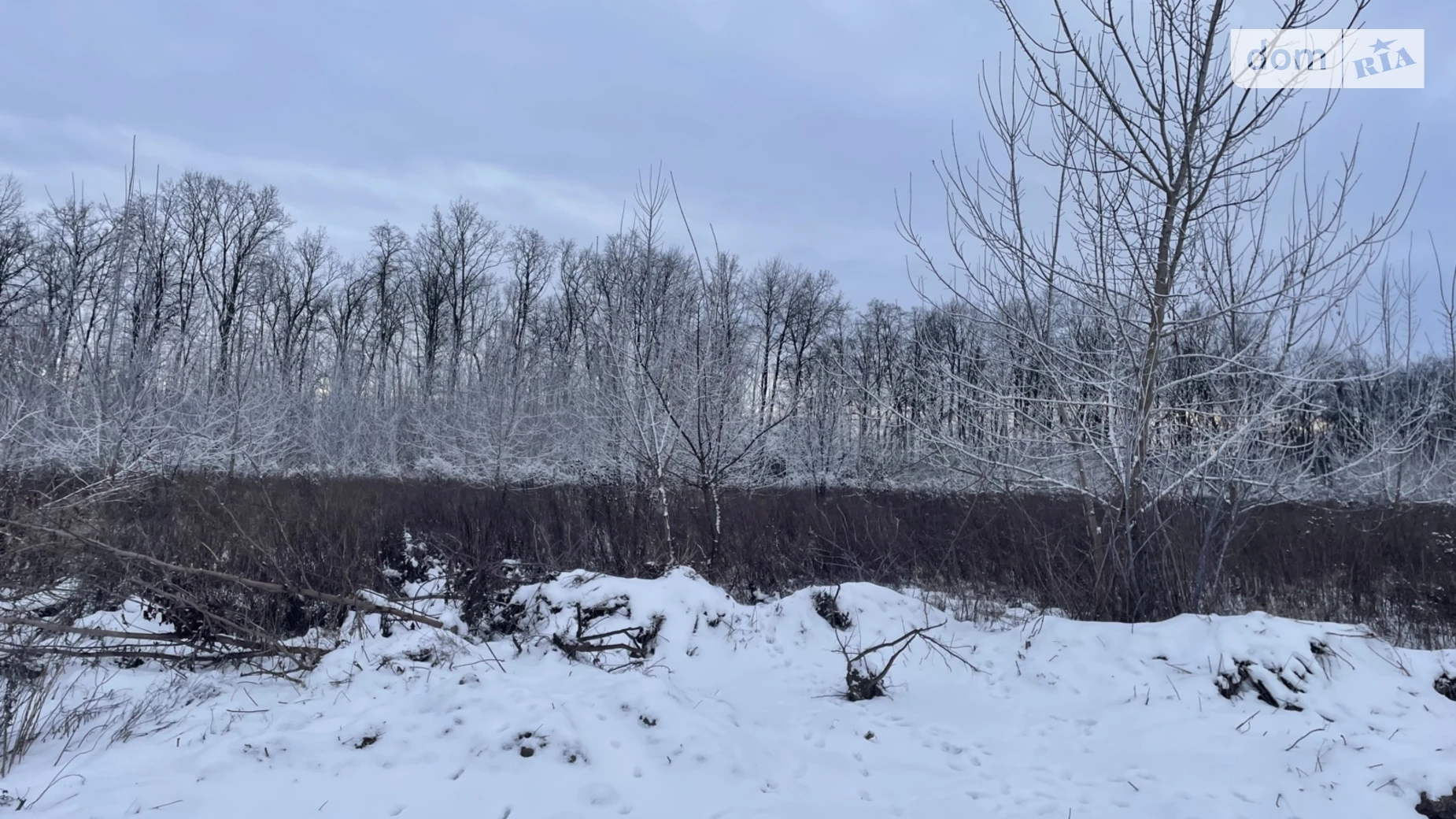 Бохоники, цена: 12900 $ - фото 4