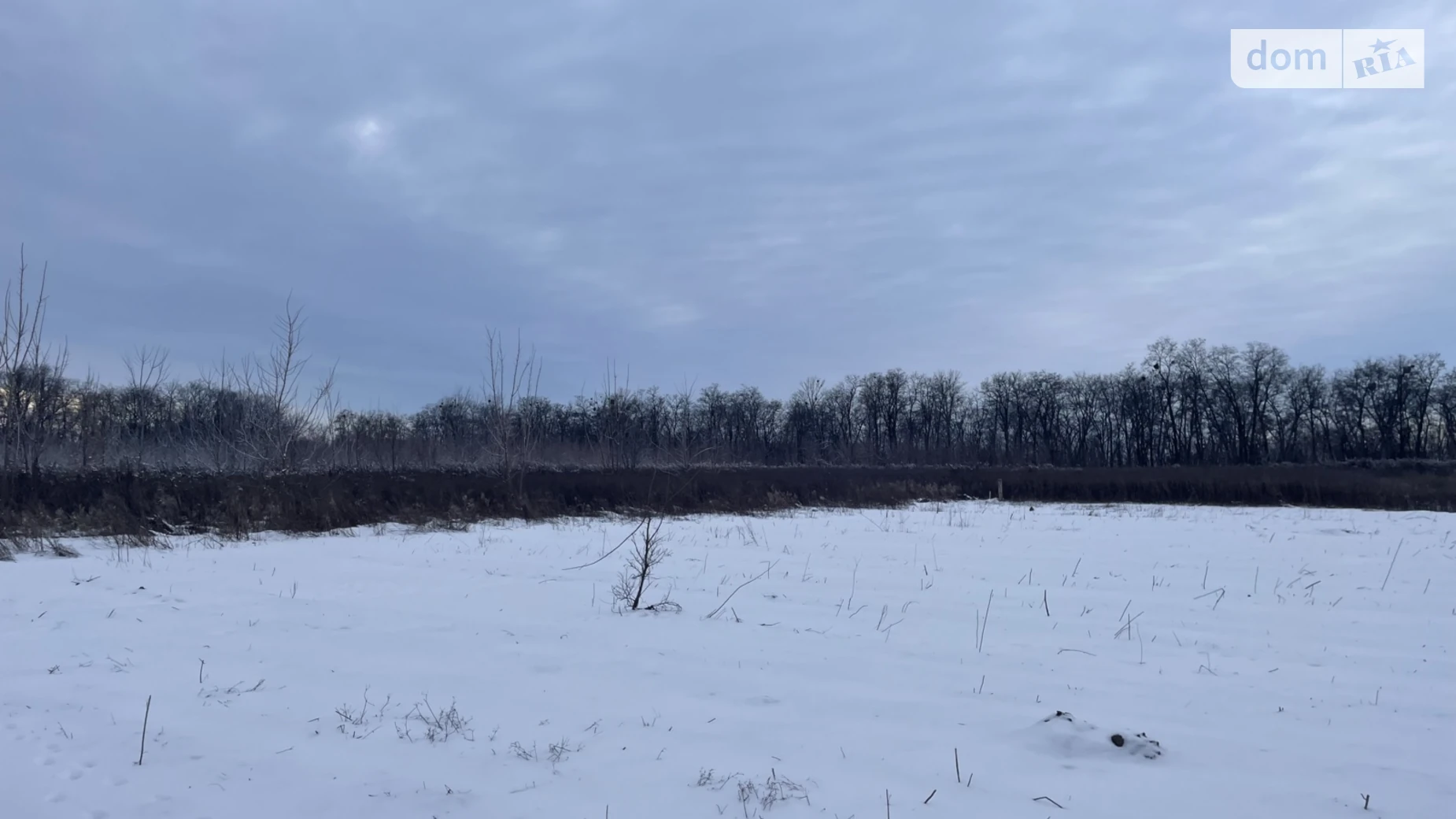 Бохоники, цена: 18500 $ - фото 3