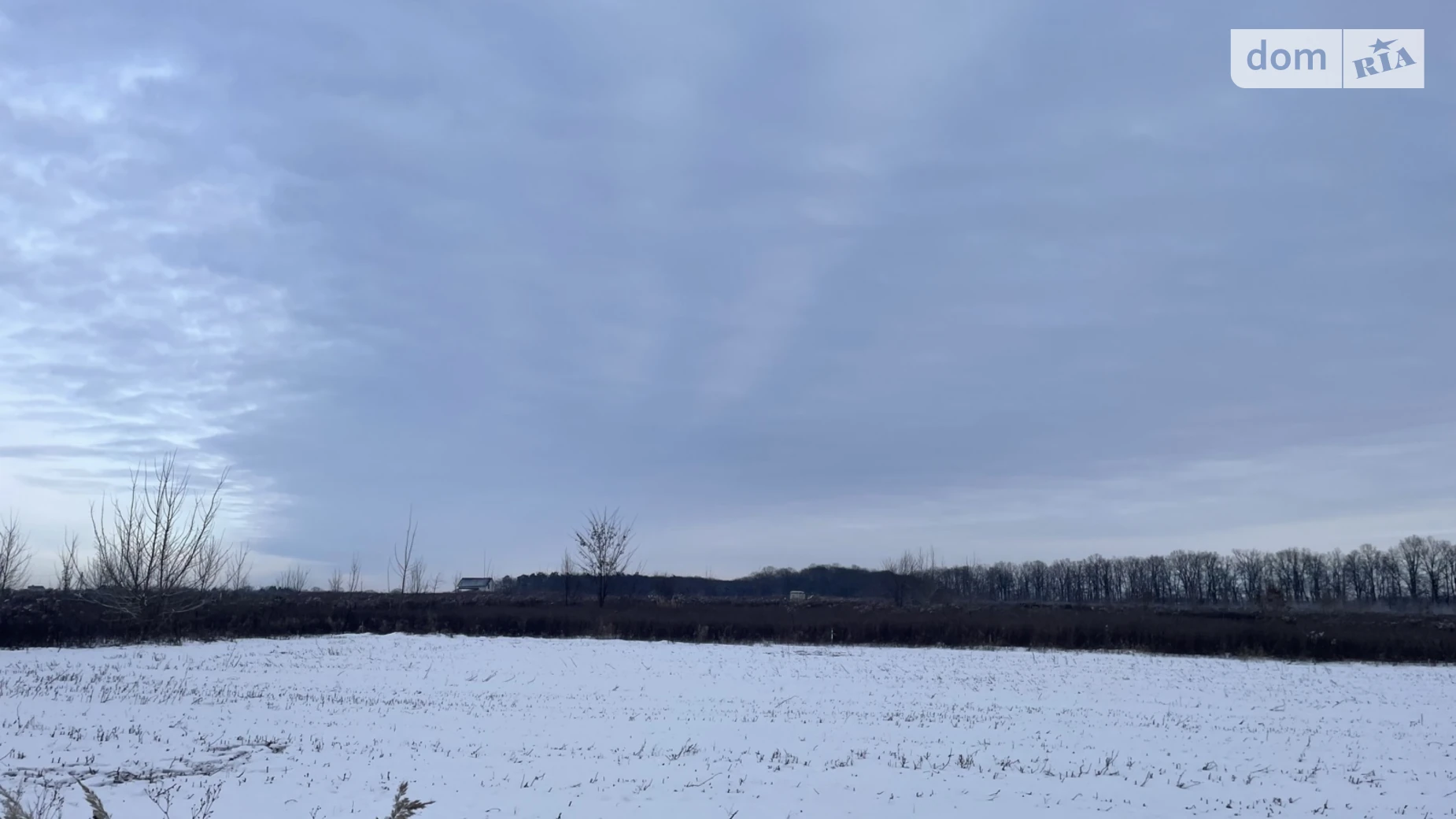 Бохоники, цена: 16500 $ - фото 3