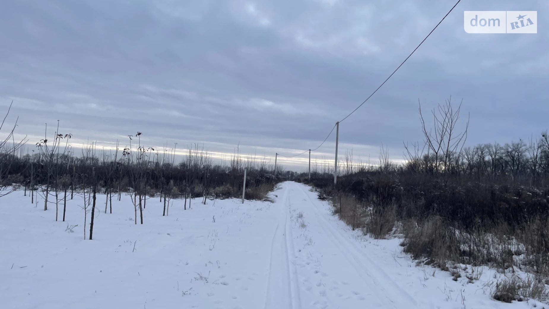 Бохоники, цена: 22500 $ - фото 5