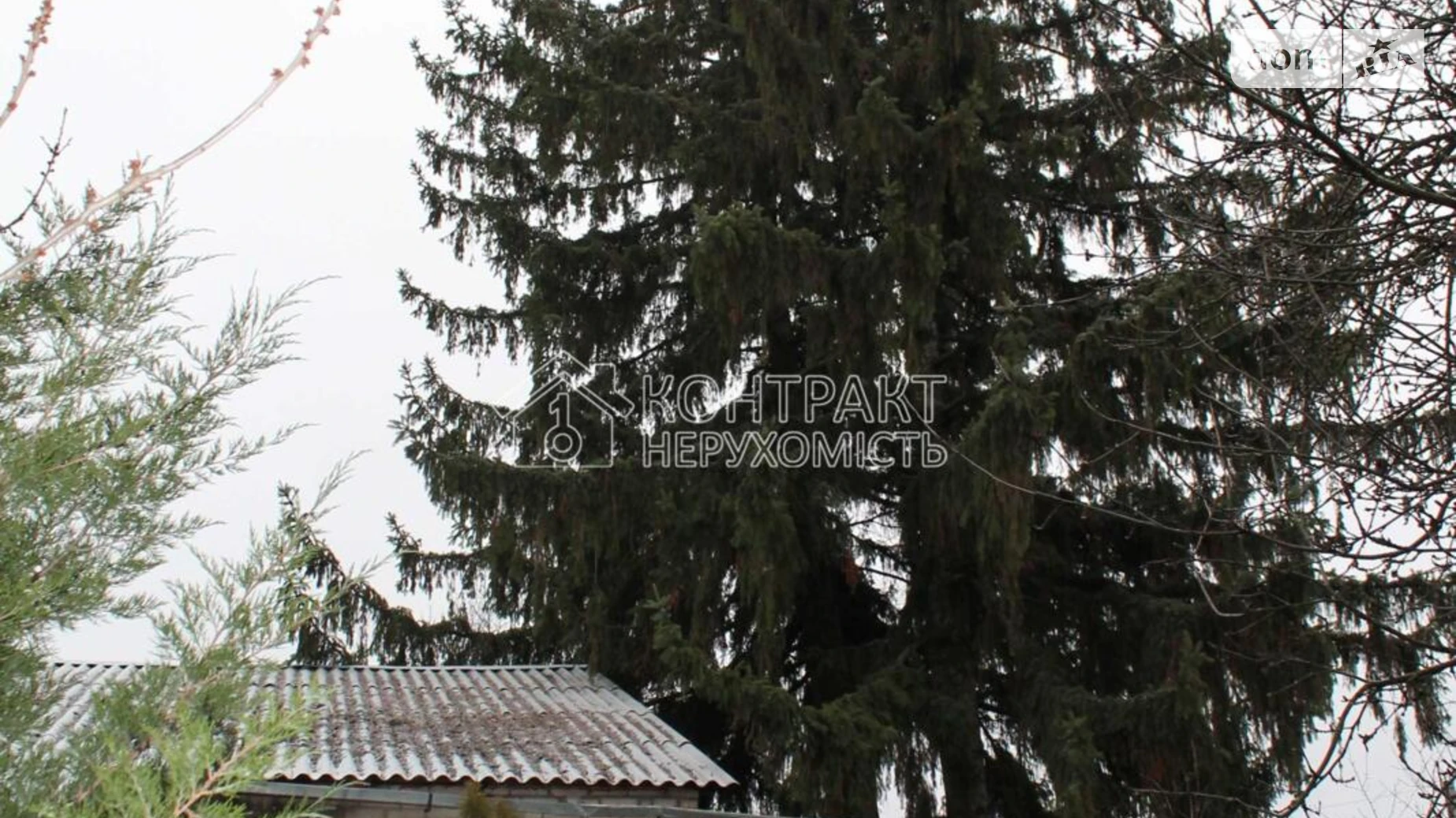 Продается одноэтажный дом 75 кв. м с садом, цена: 30000 $ - фото 2