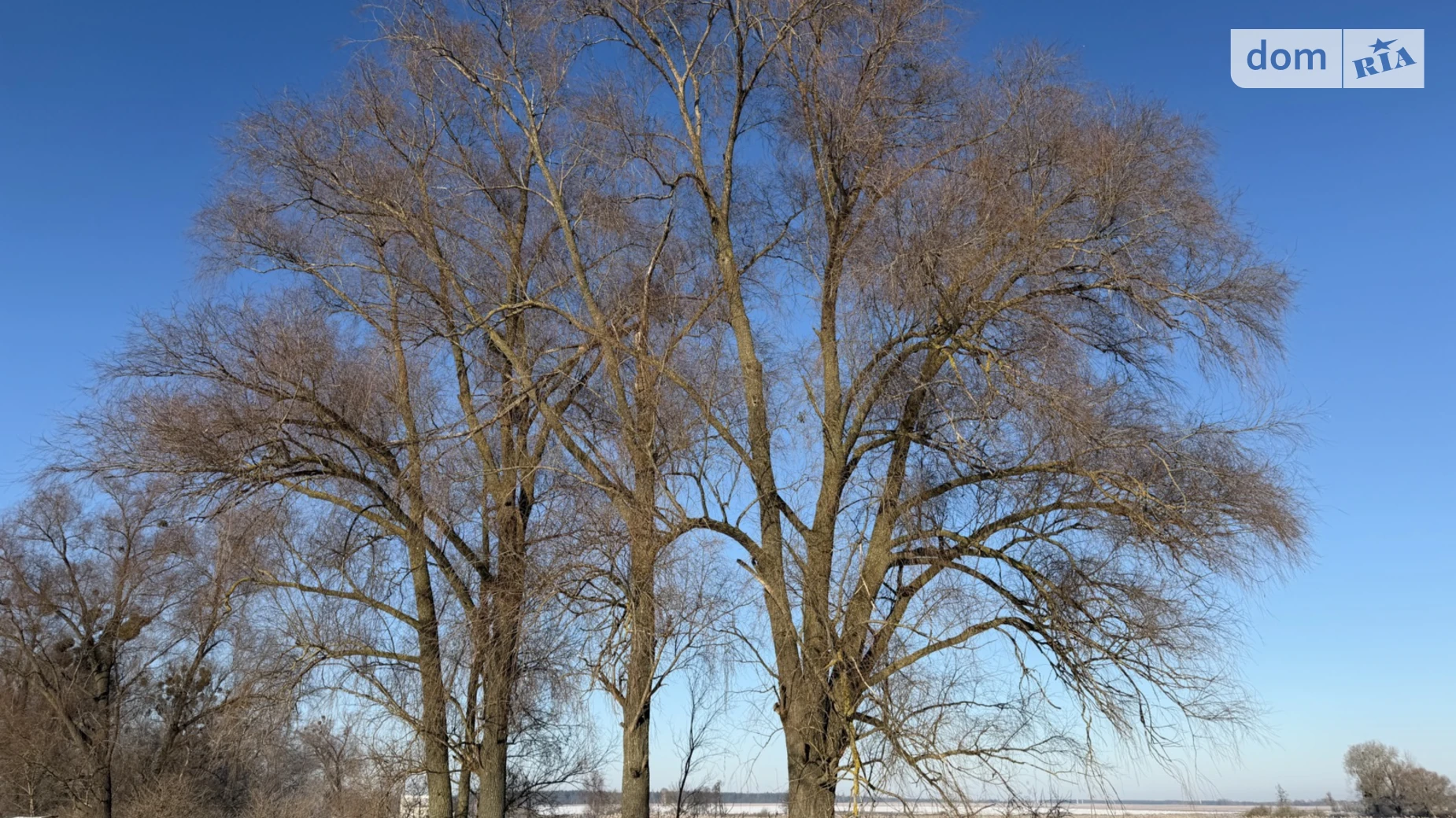 Продається земельна ділянка 25.02 соток у Київській області, цена: 9500 $ - фото 5