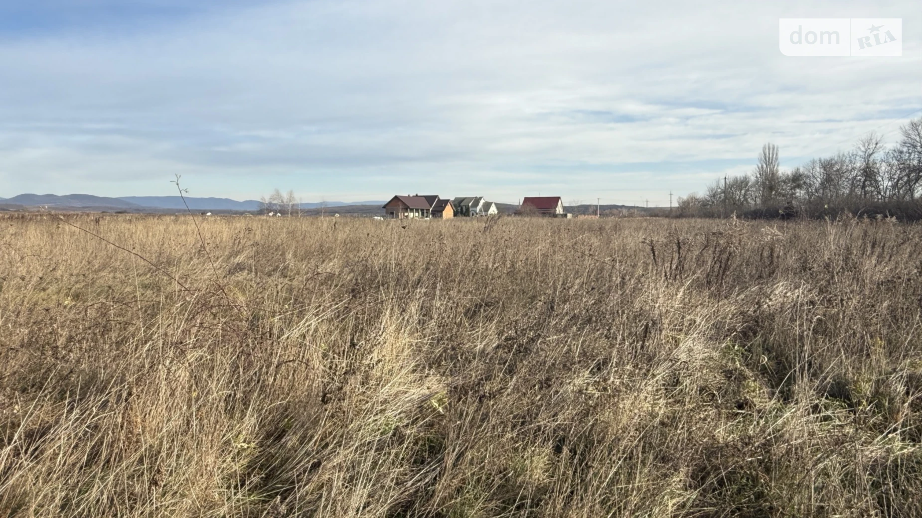 Продается земельный участок 20 соток в Закарпатской области, цена: 7000 $ - фото 2