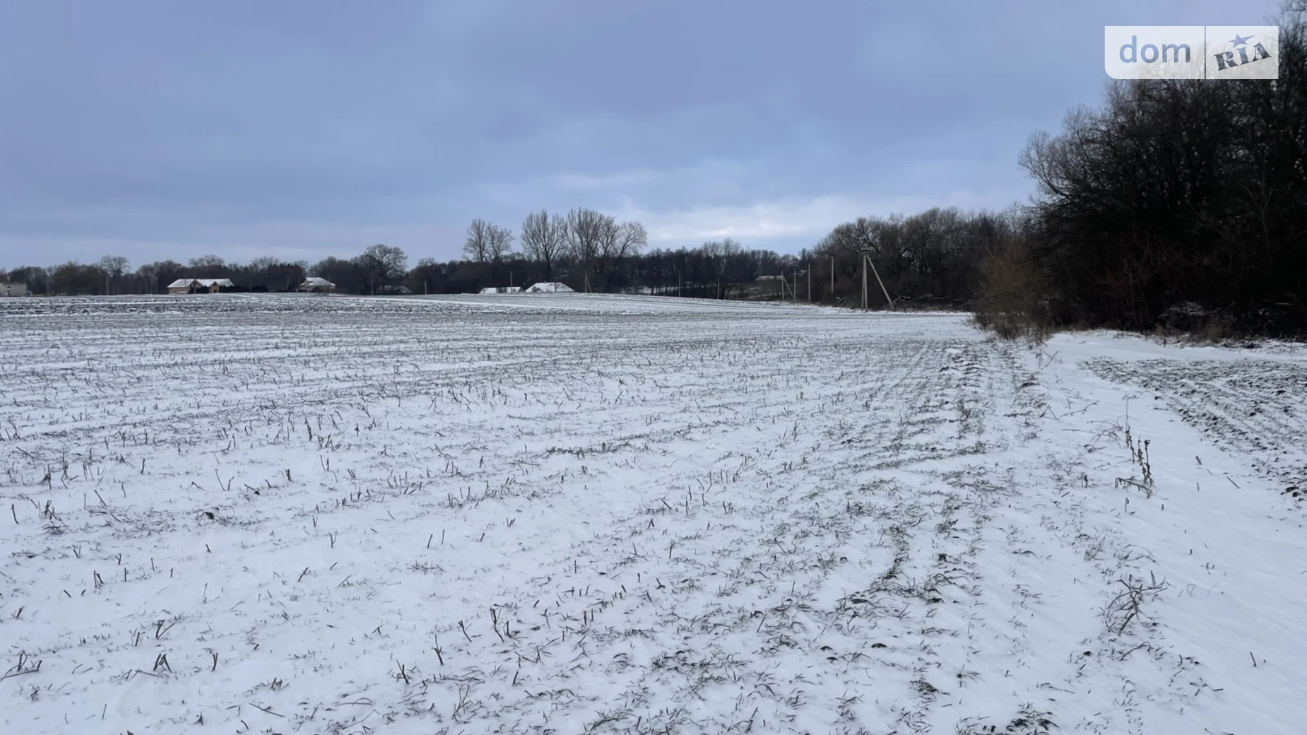 Продается земельный участок 54 соток в Тернопольской области, цена: 8000 $ - фото 5