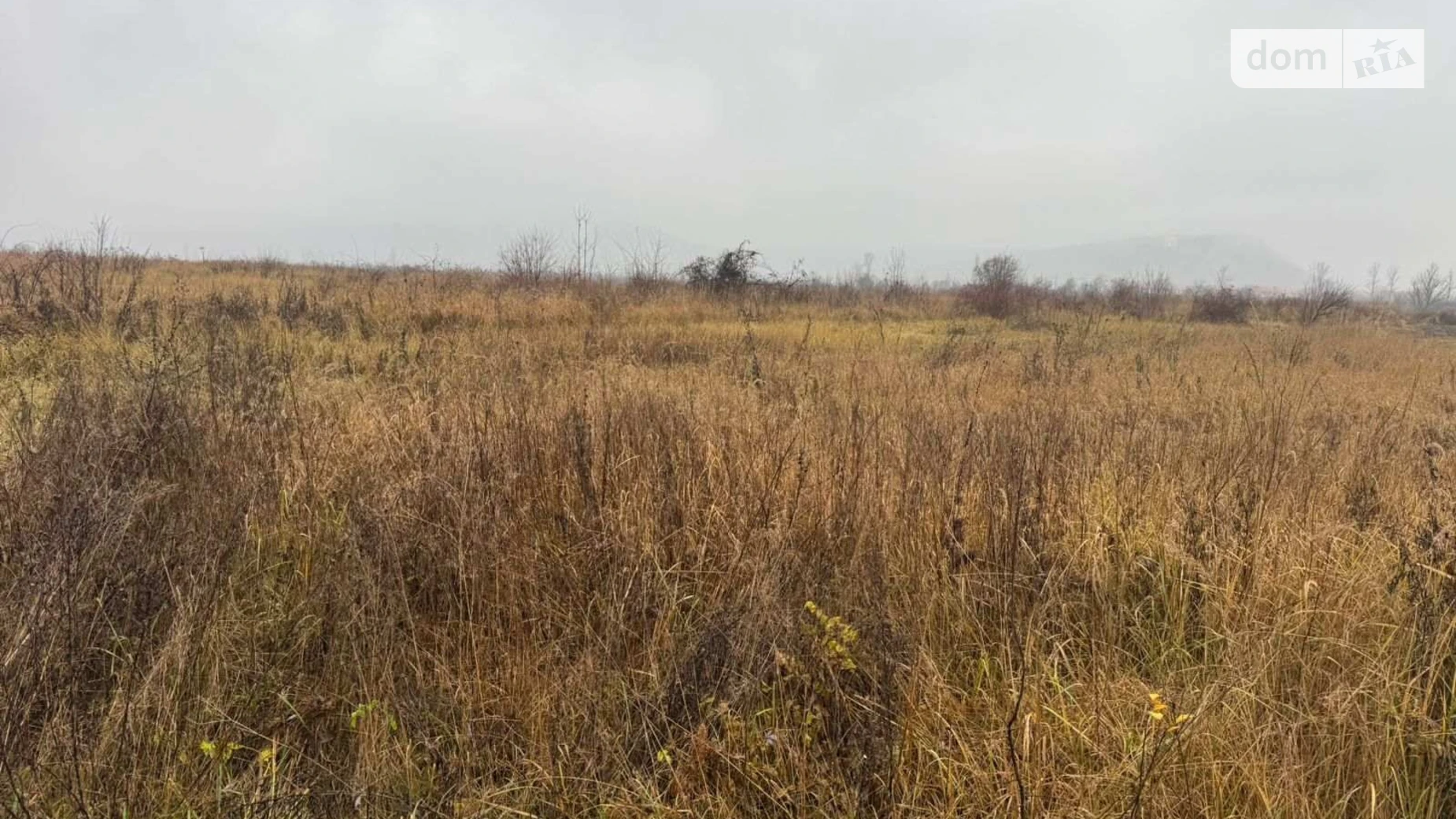 Продается земельный участок 0.1508 соток в Закарпатской области, цена: 295025 грн - фото 2