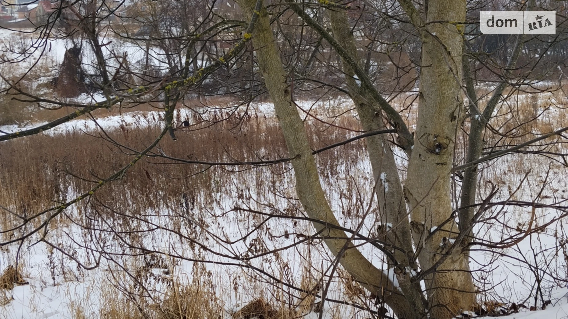 Продается земельный участок 12 соток в Хмельницкой области, цена: 36500 $ - фото 2