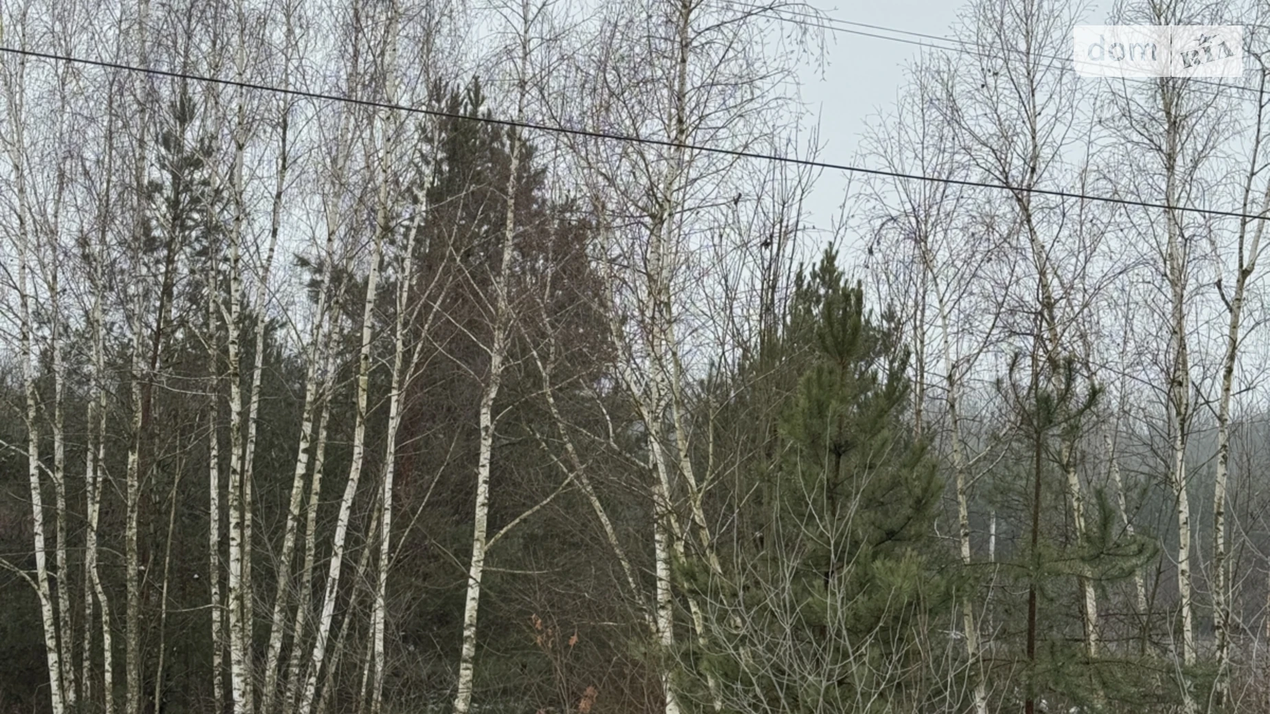 вул. Тиха Славне, цена: 48000 $ - фото 5