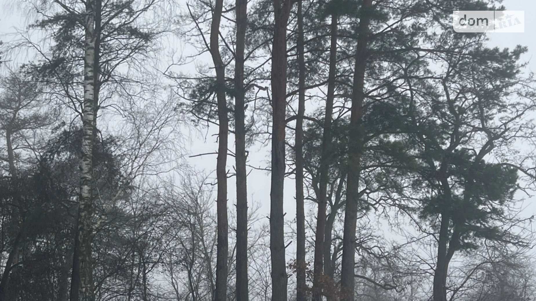 Бохоники, цена: 25000 $ - фото 2