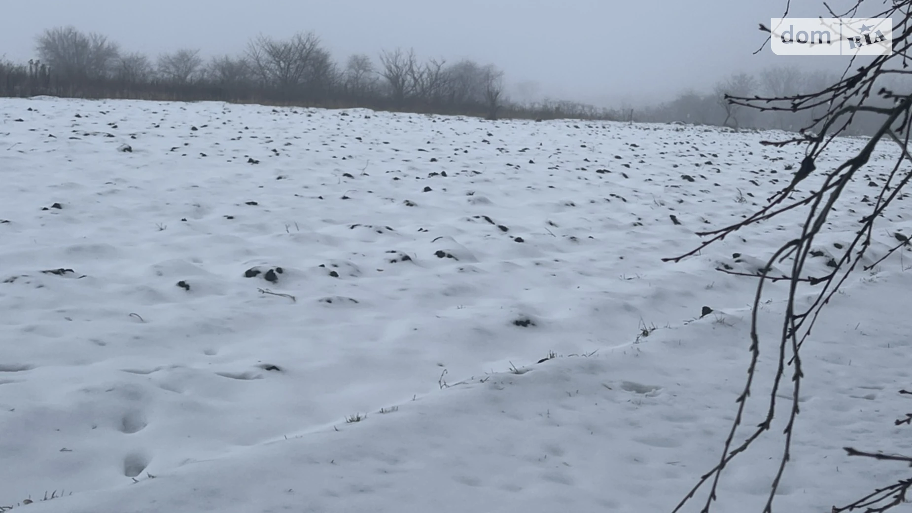 Бохоники, цена: 25000 $ - фото 3