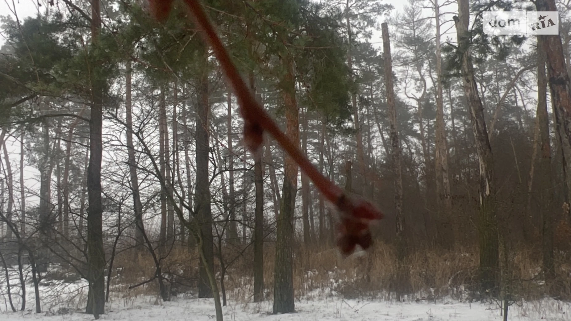 Бохоники, цена: 25000 $ - фото 5