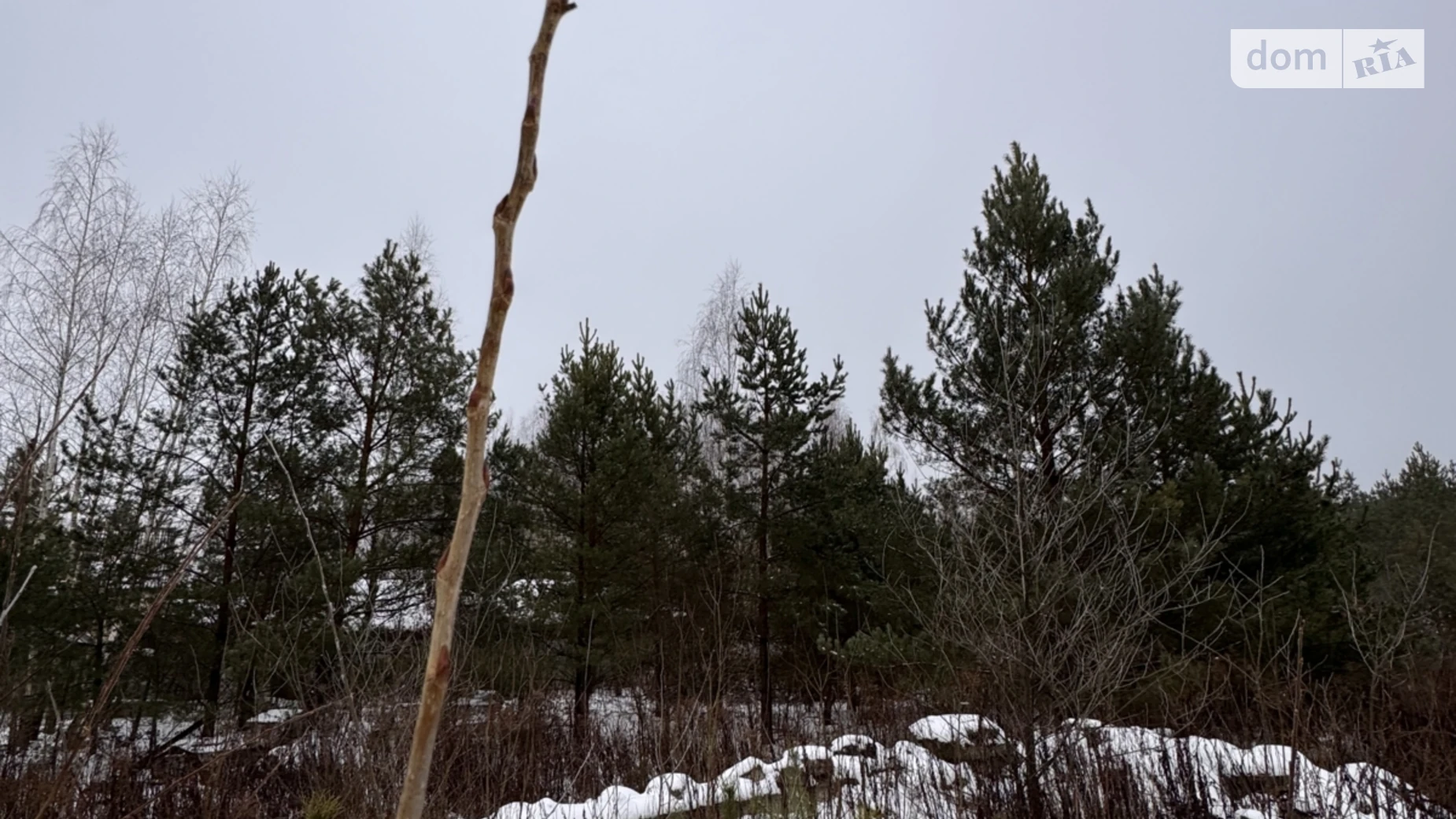 Продається земельна ділянка 18 соток у Вінницькій області, цена: 48000 $ - фото 2