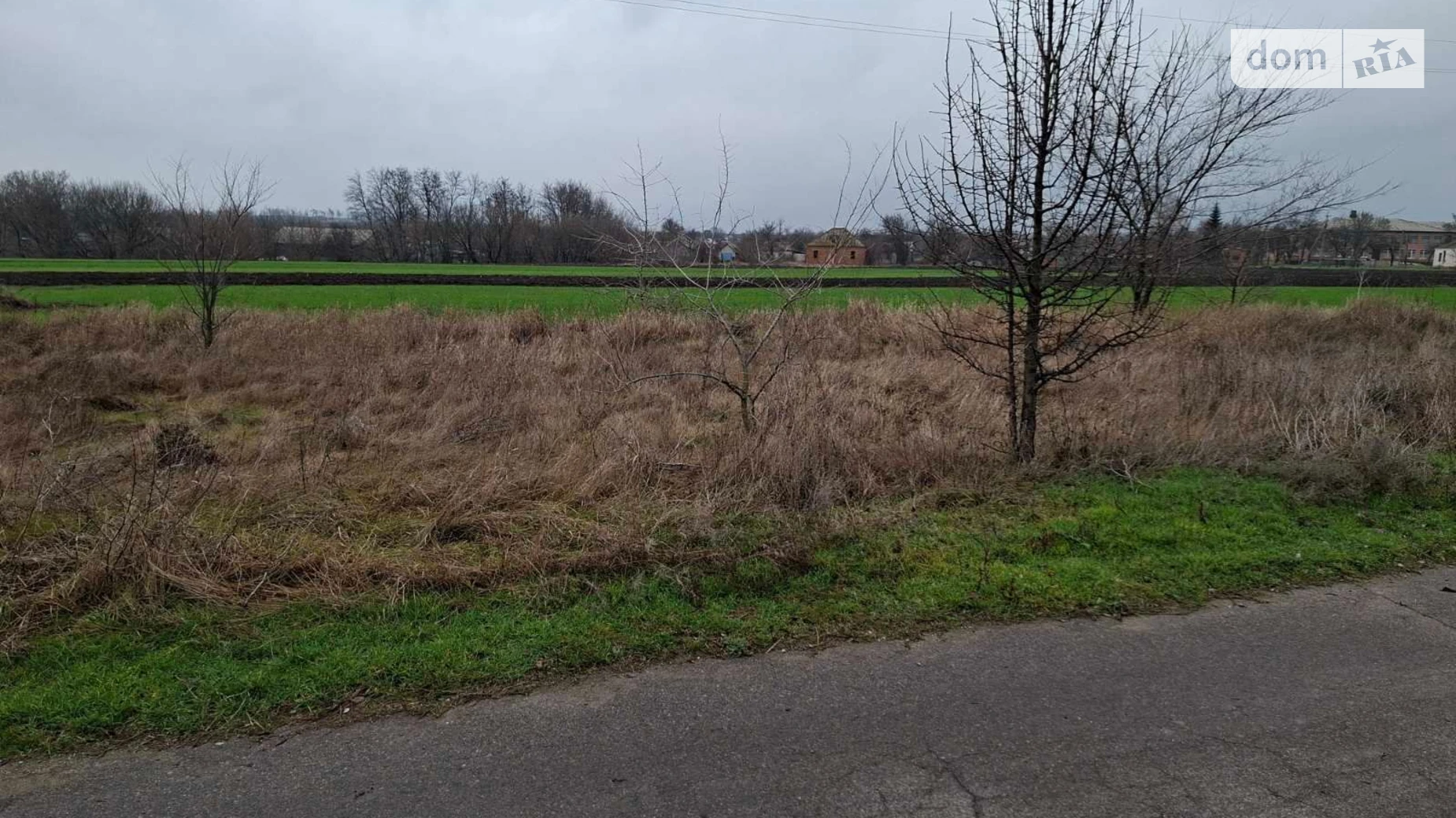 Здається в оренду земельна ділянка 0.2 соток у Полтавській області, цена: 1003 грн - фото 2