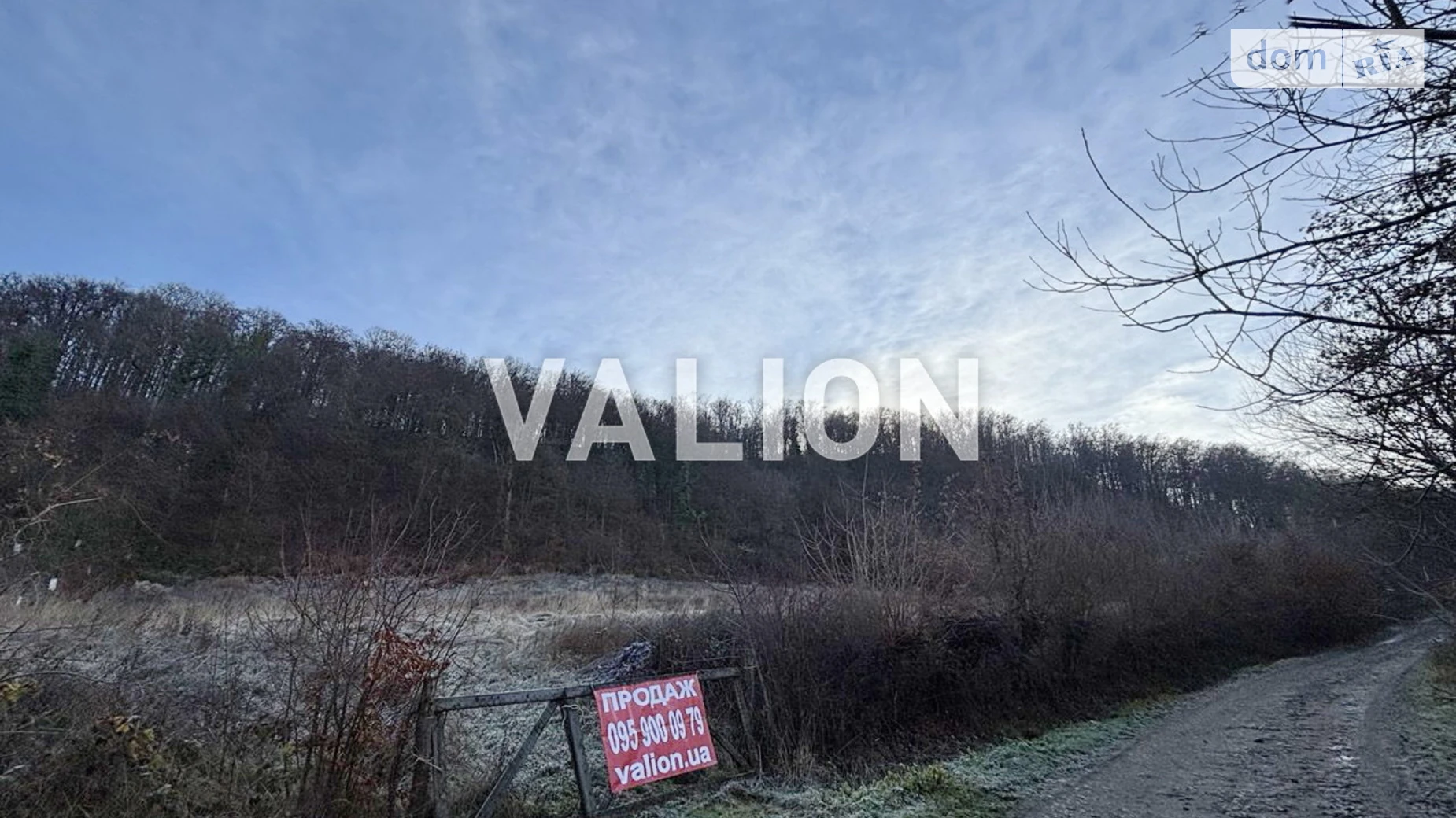 Продается земельный участок 55.51 соток в Закарпатской области, цена: 83265 $ - фото 3