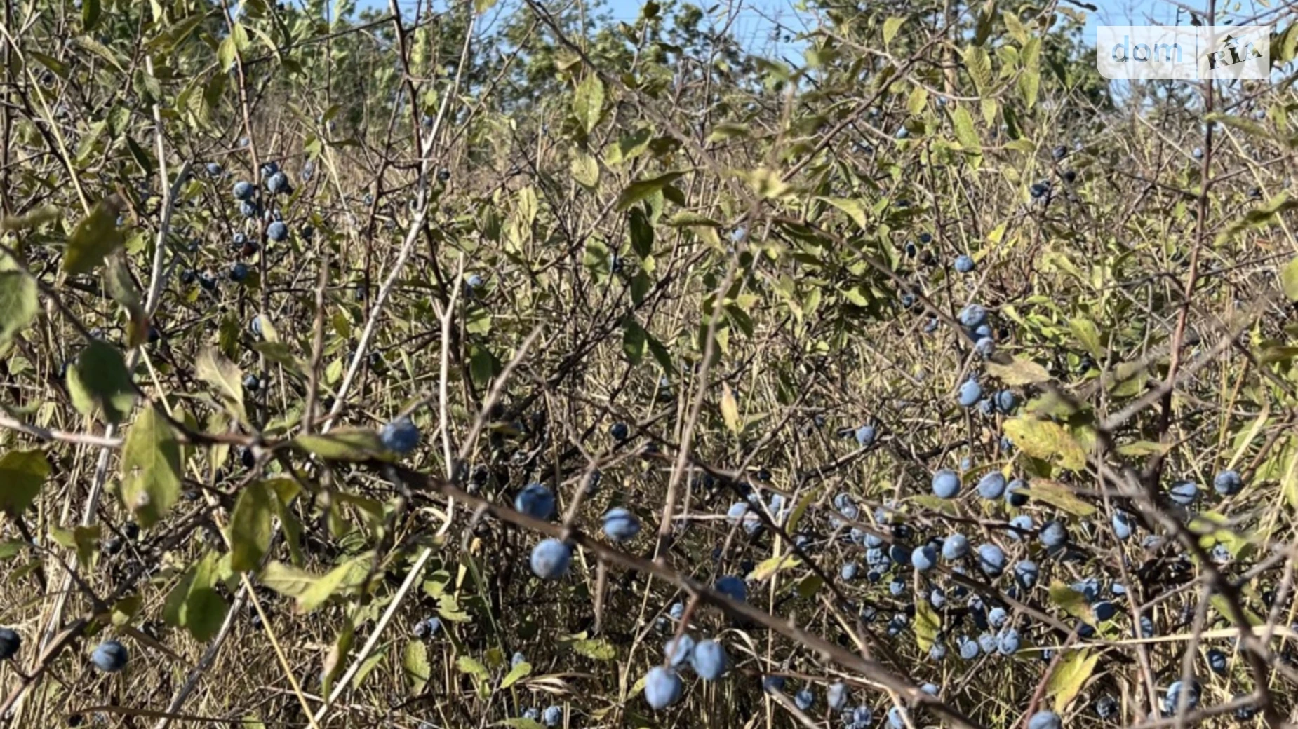Продається земельна ділянка 0.0616 соток у Одеській області, цена: 6600 $ - фото 2