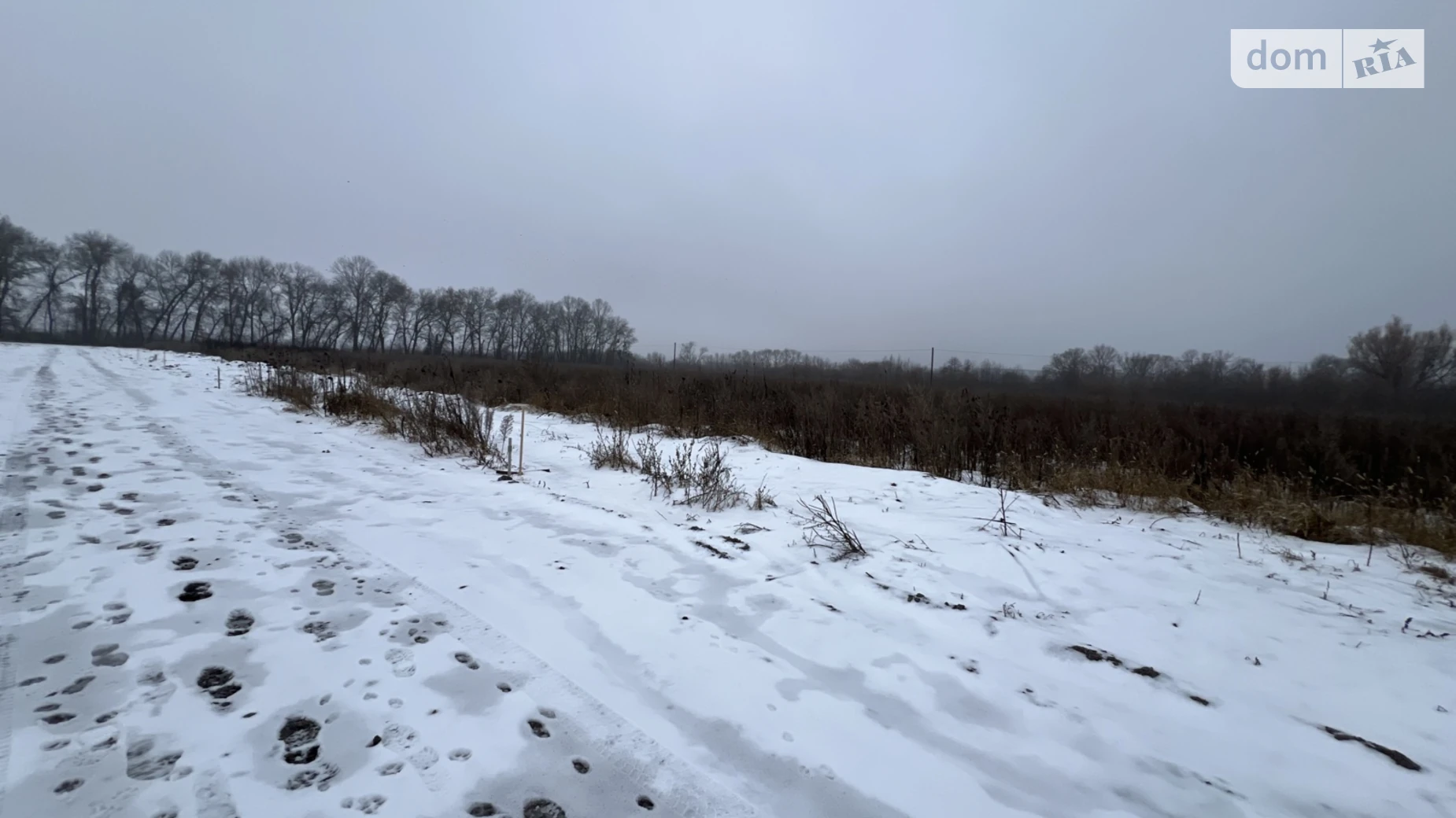 Продается земельный участок 6 соток в Винницкой области, цена: 28300 $ - фото 2