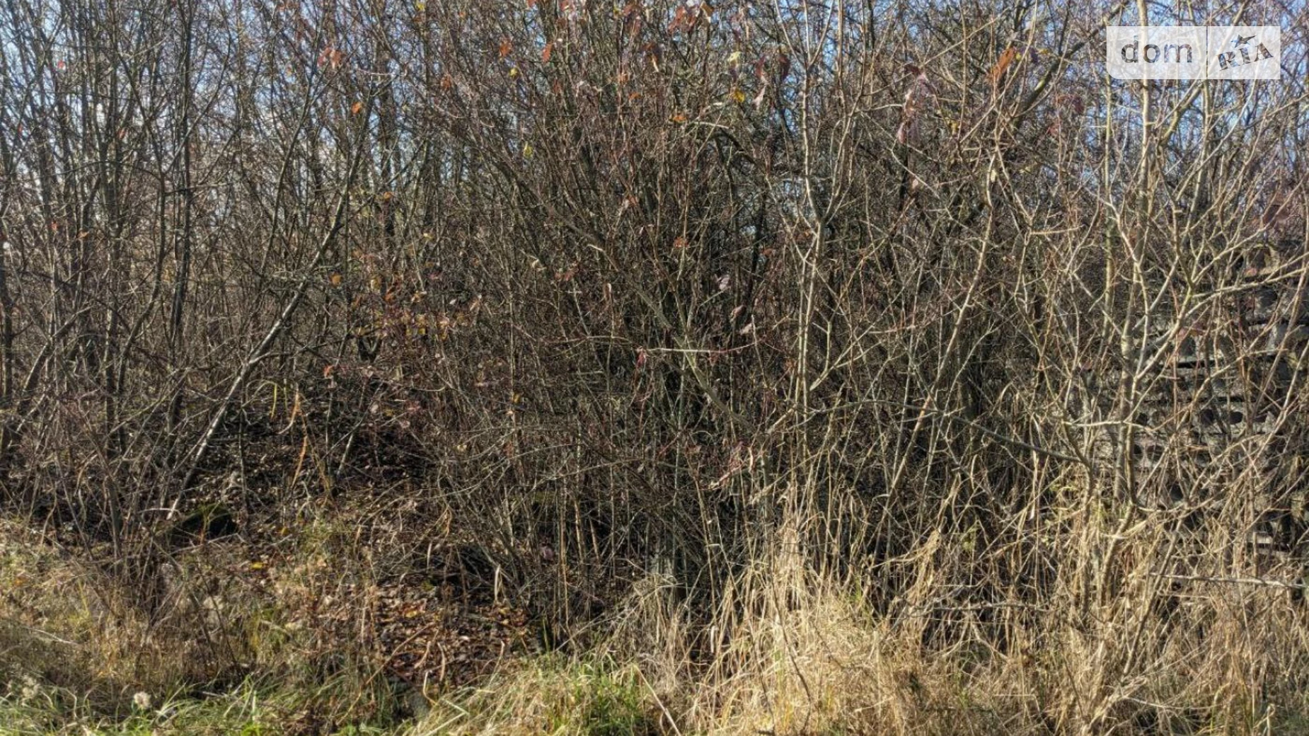 Продается земельный участок 8.66 соток в Ивано-Франковской области, цена: 31500 $ - фото 3