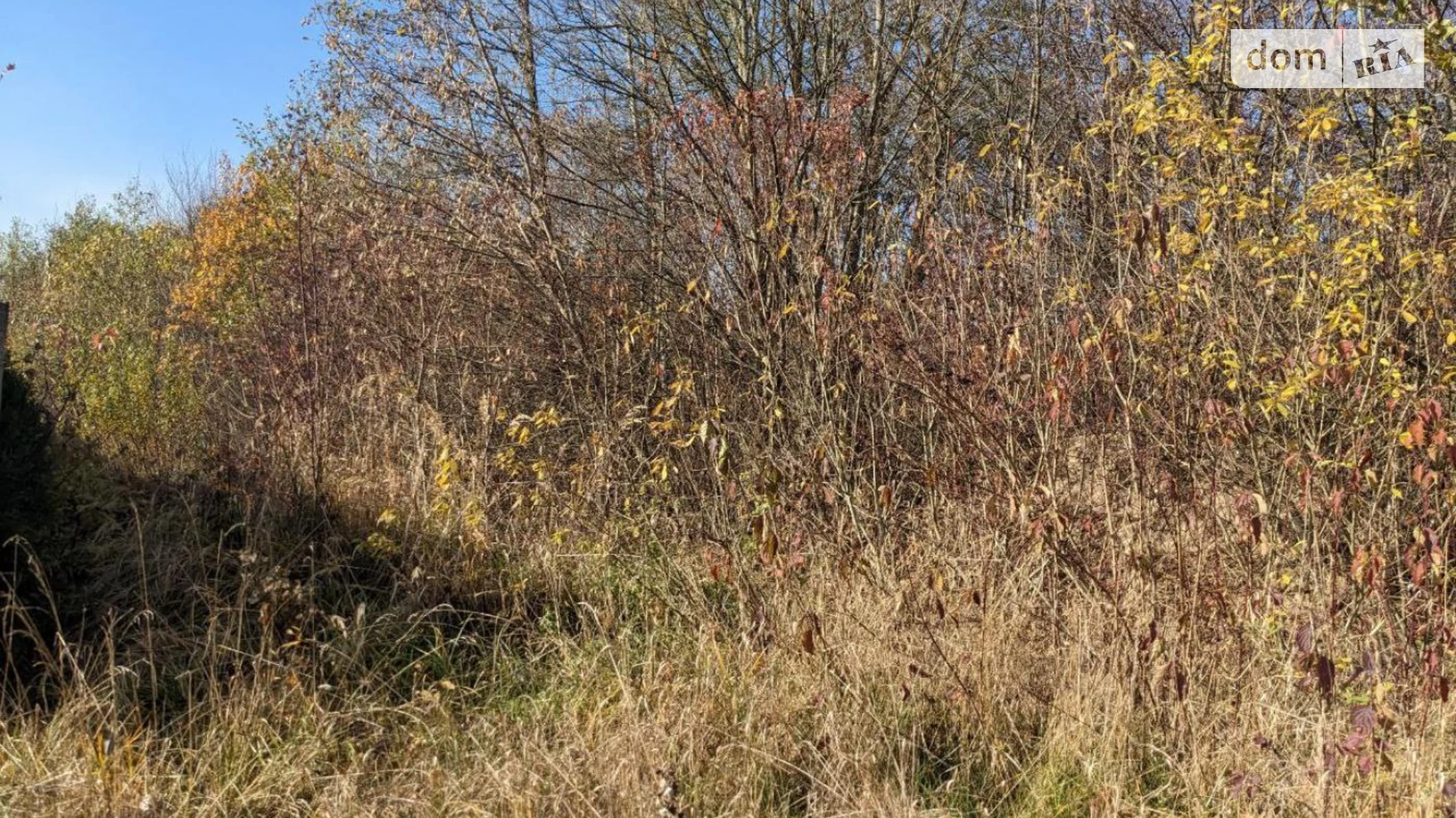 Продается земельный участок 8.66 соток в Ивано-Франковской области, цена: 31500 $ - фото 5