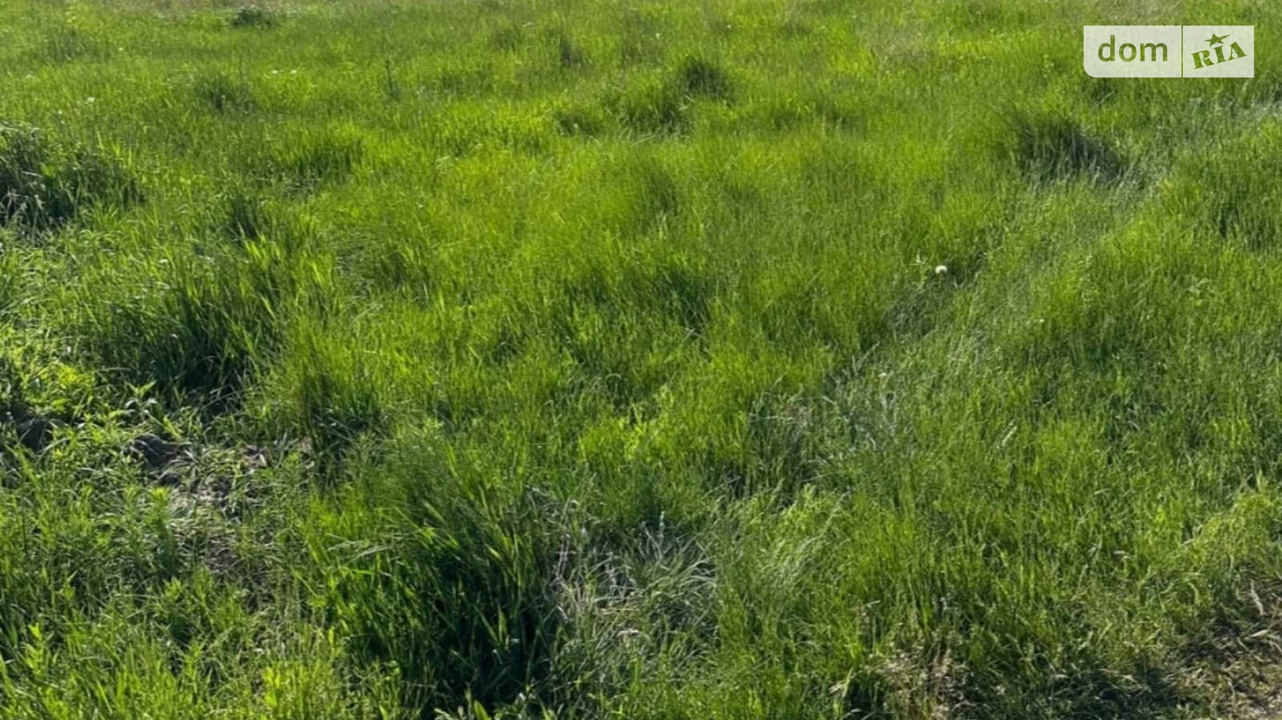 Продается земельный участок 60 соток в Хмельницкой области, цена: 43000 $ - фото 3