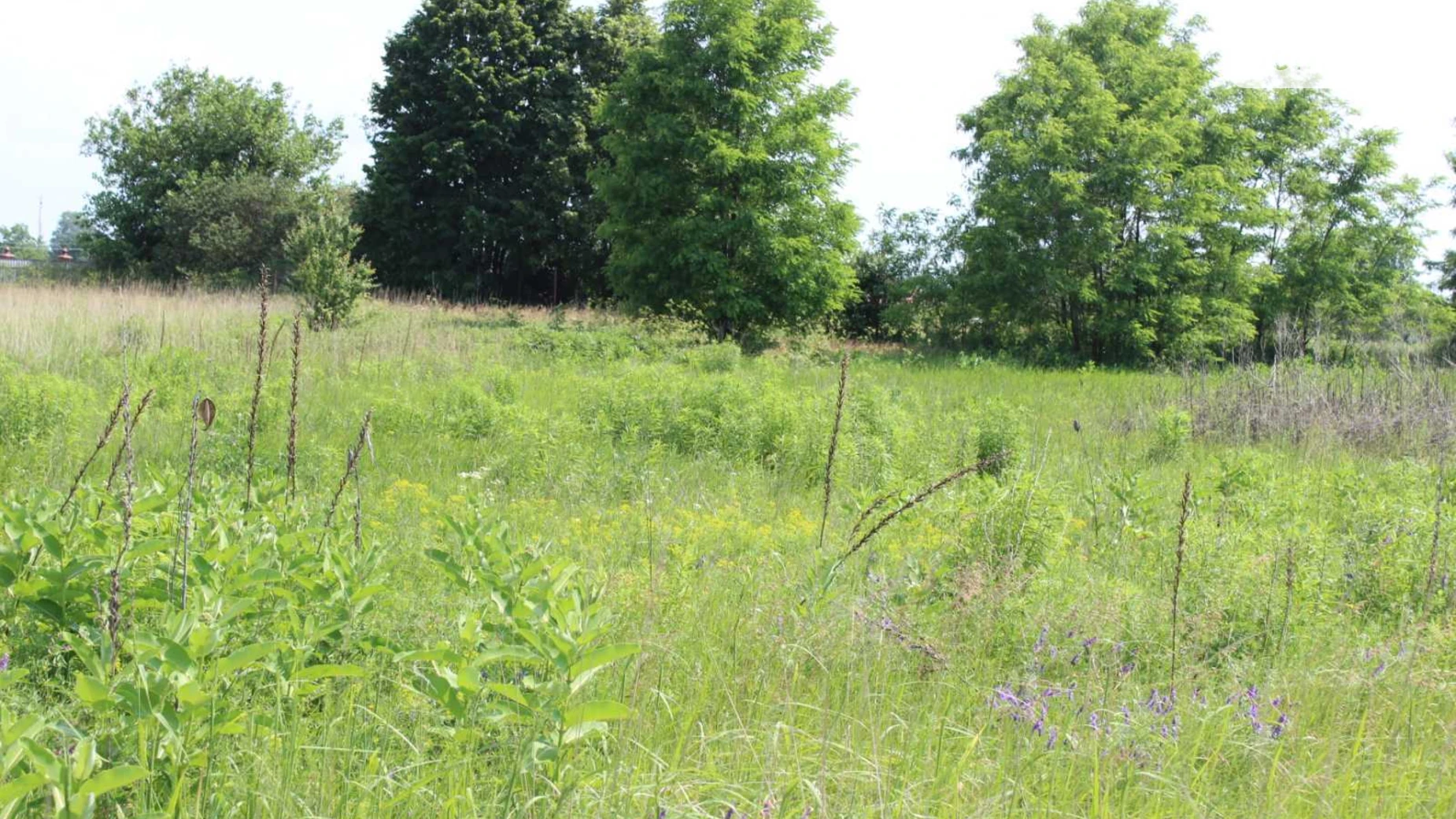 Продается земельный участок 19.12 соток в Киевской области, цена: 15000 $ - фото 2