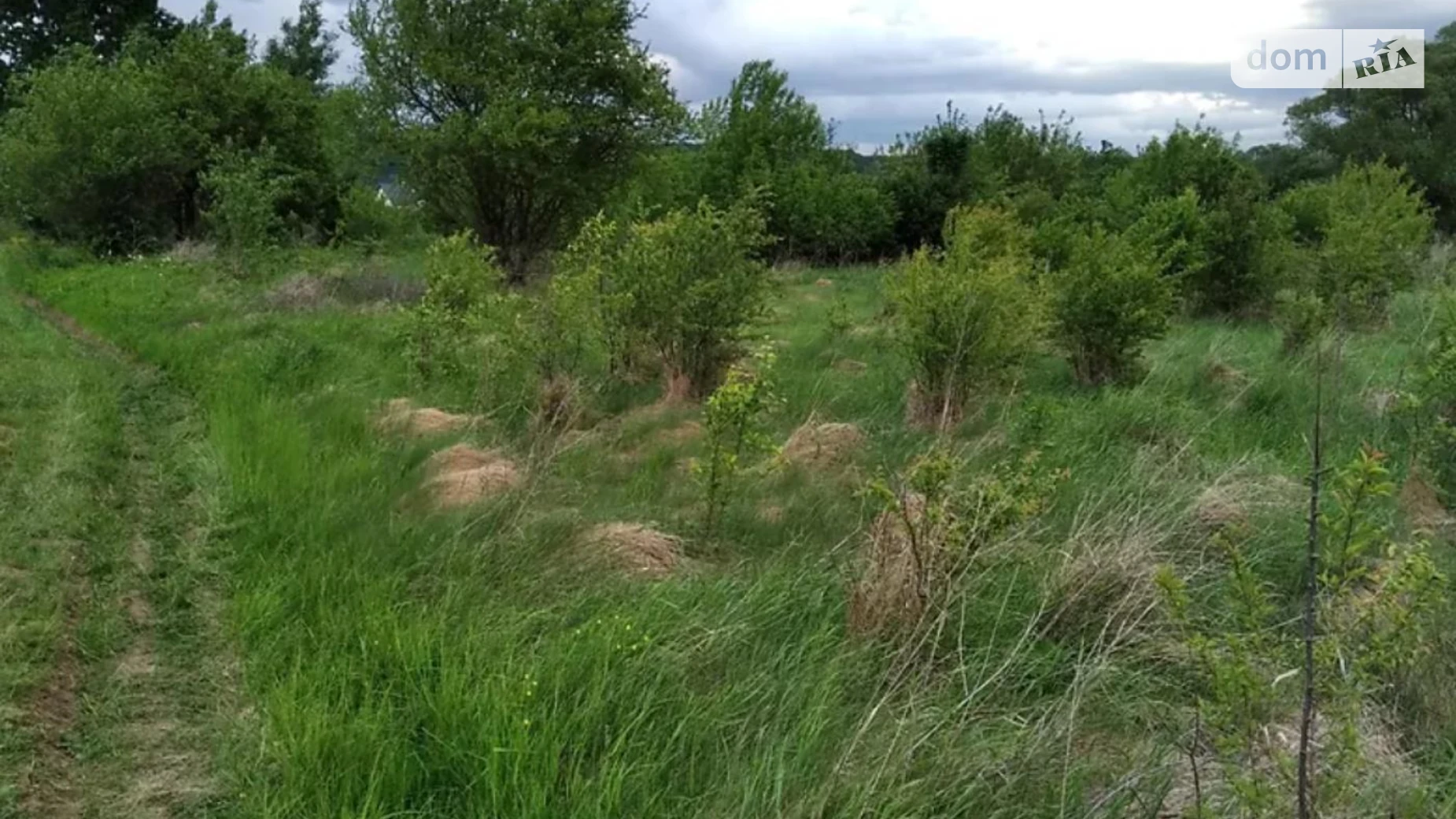 Продается земельный участок 10.67 соток в Ивано-Франковской области, цена: 15500 $ - фото 2