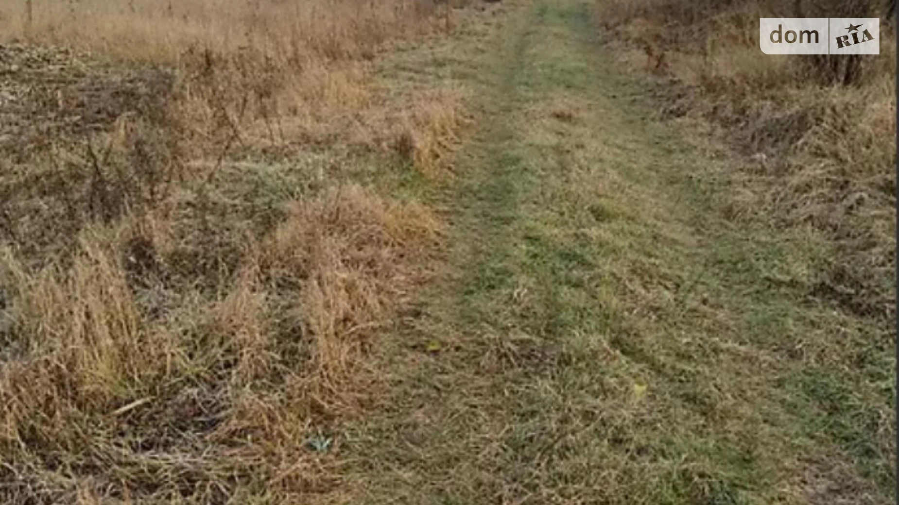 Продается земельный участок 10.67 соток в Ивано-Франковской области, цена: 15500 $ - фото 4