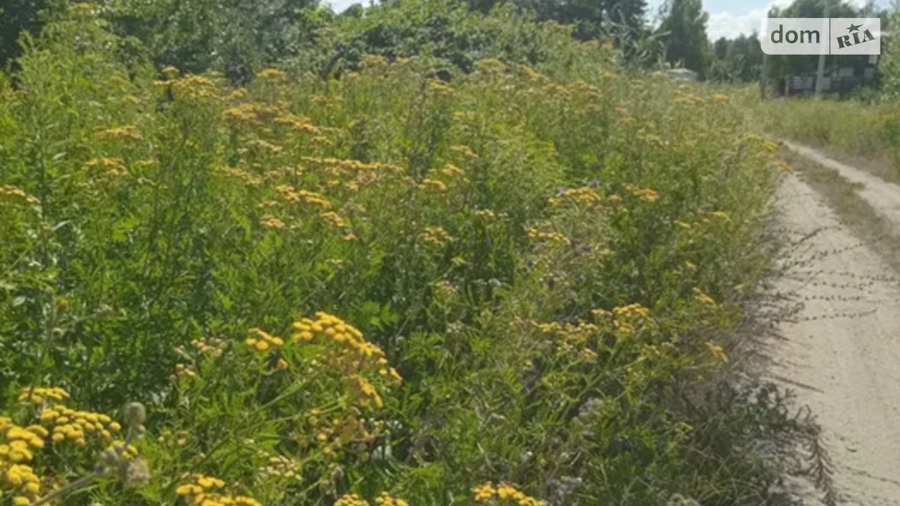 Продается земельный участок 2.49 соток в Киевской области, цена: 19991 $ - фото 2