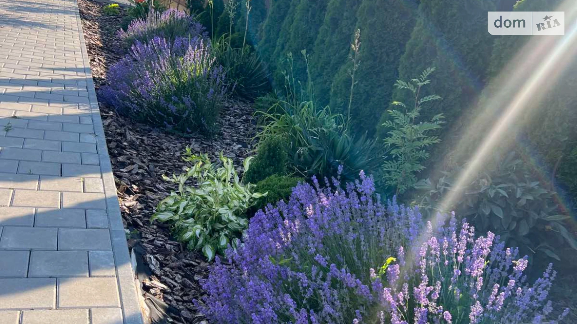 Продается дом на 2 этажа 298 кв. м с террасой, цена: 270000 $ - фото 3