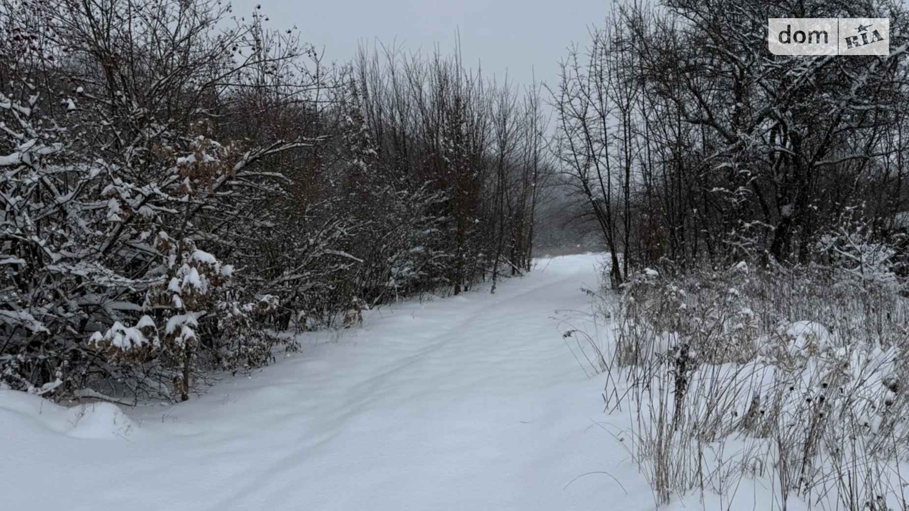 Продается земельный участок 10 соток в Хмельницкой области, цена: 26000 $ - фото 2