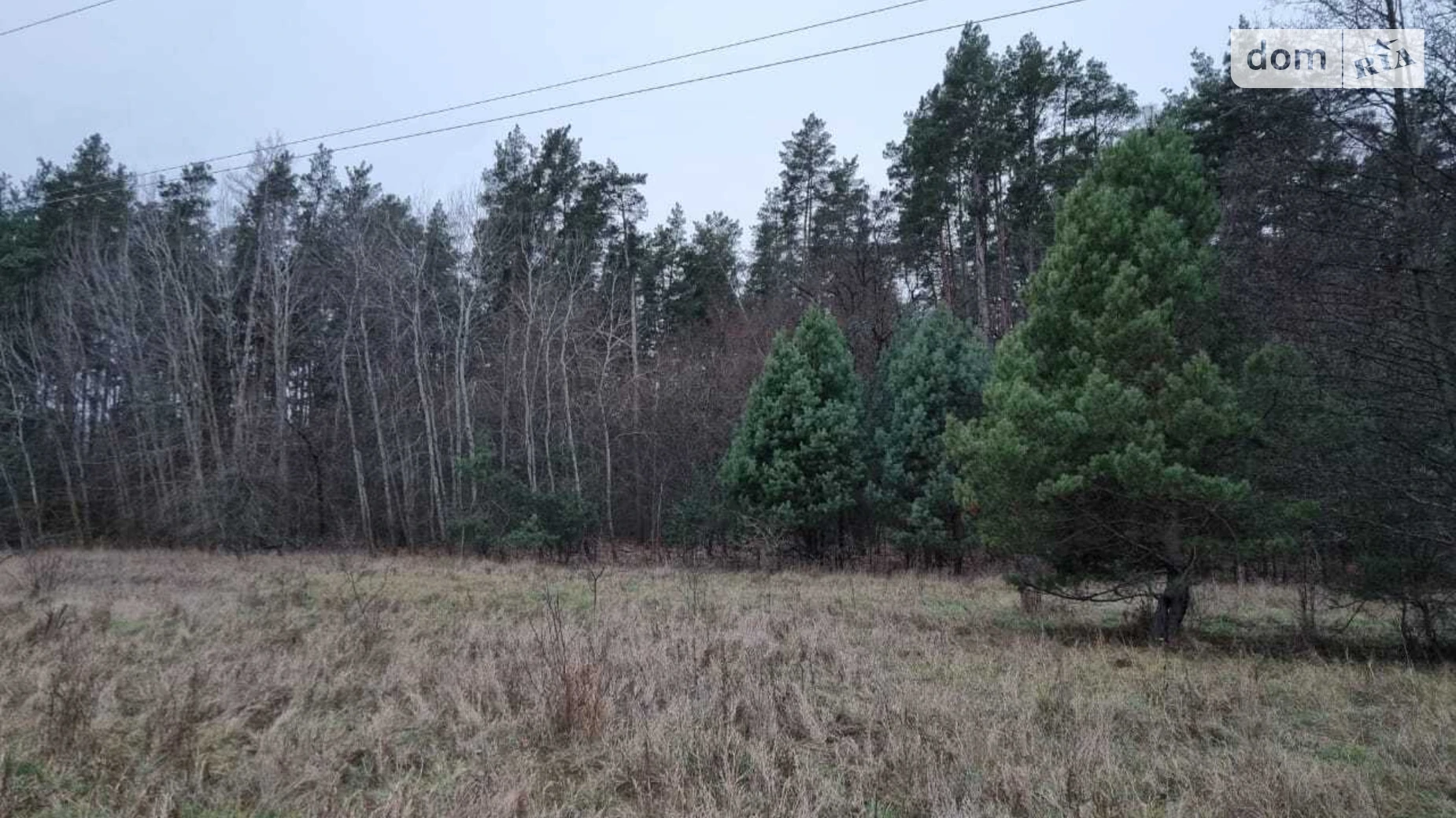 Продается земельный участок 25 соток в Киевской области, цена: 130000 $ - фото 3