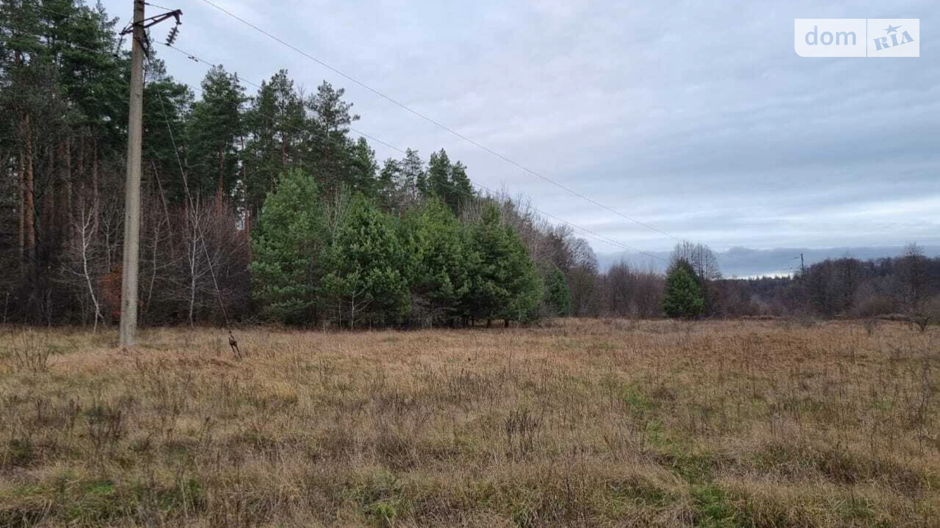 Продается земельный участок 25 соток в Киевской области, цена: 130000 $ - фото 4