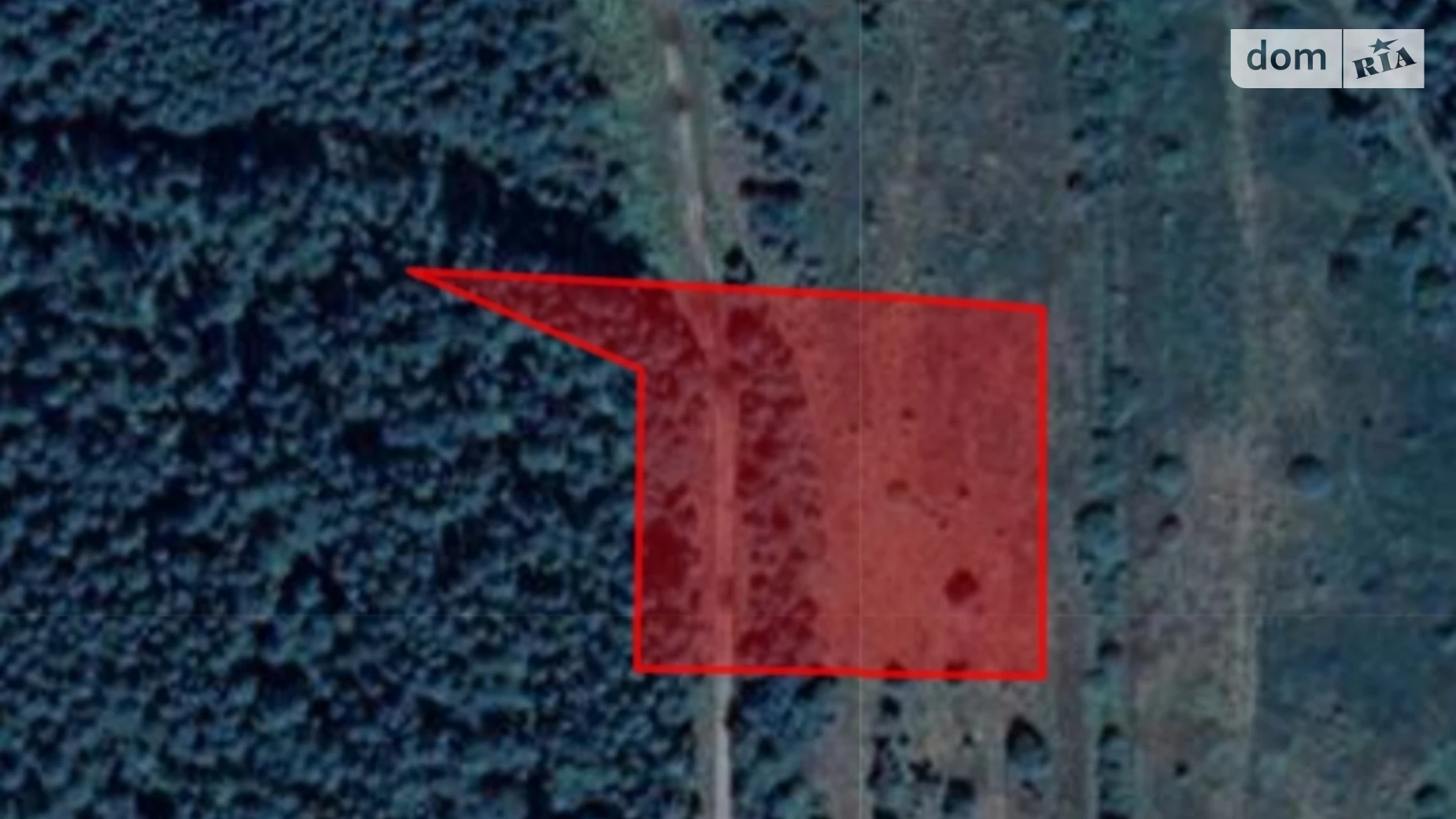 Лопатин, цена: 2000 $ - фото 2