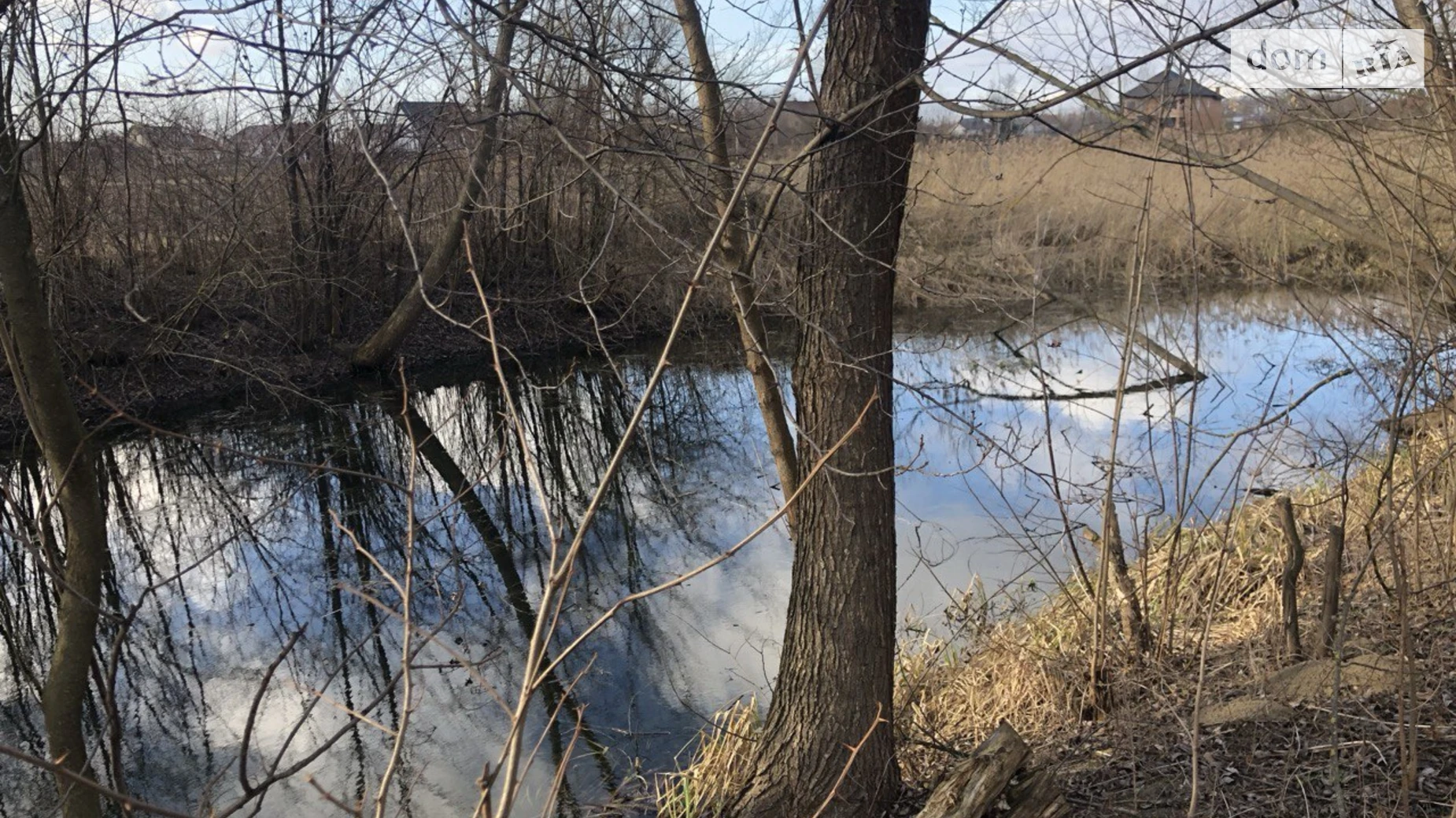 Продается земельный участок 55.43 соток в Черновицкой области, цена: 30000 $ - фото 3