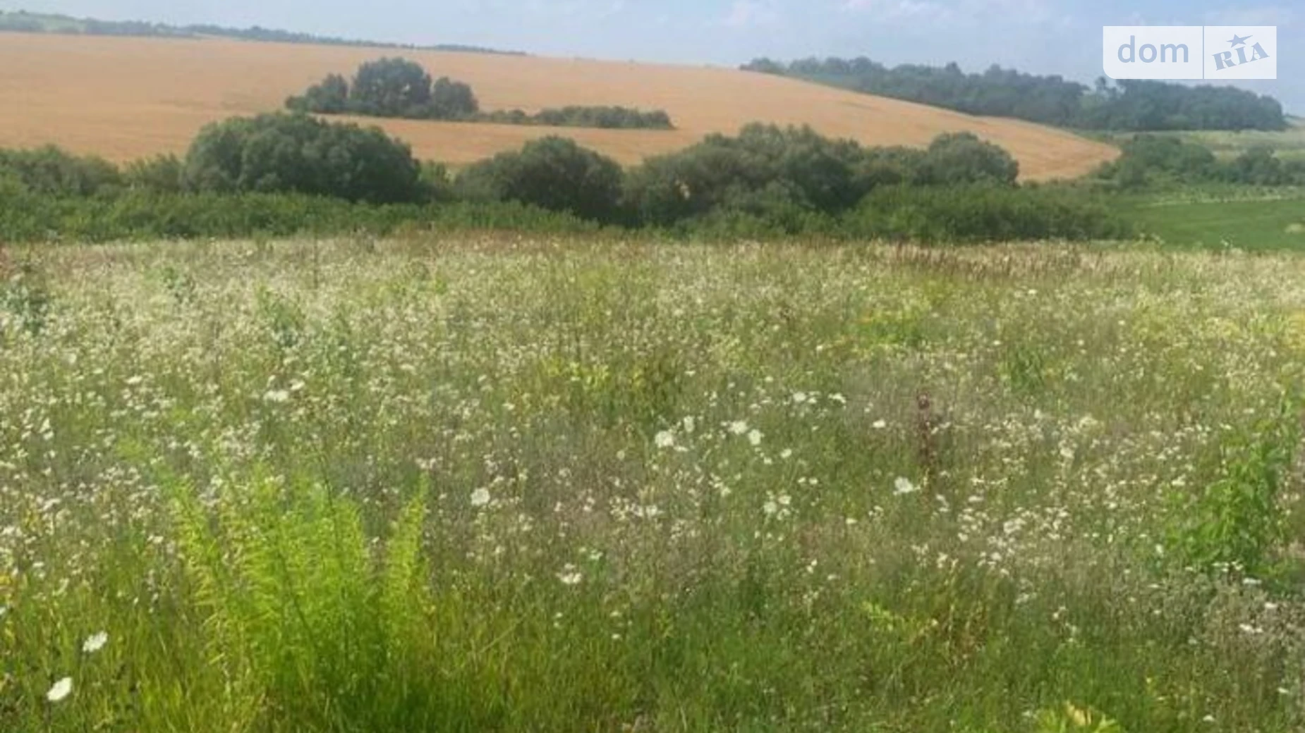 Продається земельна ділянка 30 соток у Хмельницькій області, цена: 16500 $ - фото 4