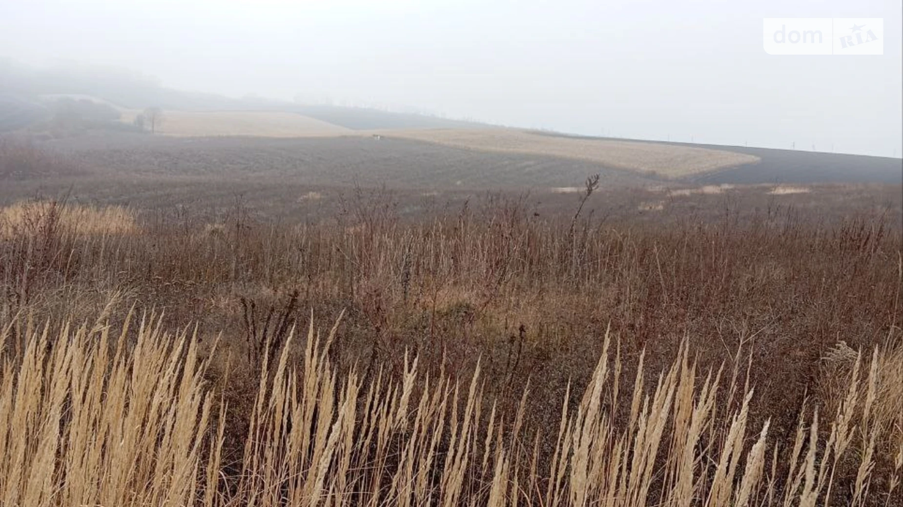 Продається земельна ділянка 30 соток у Хмельницькій області, цена: 16500 $ - фото 5