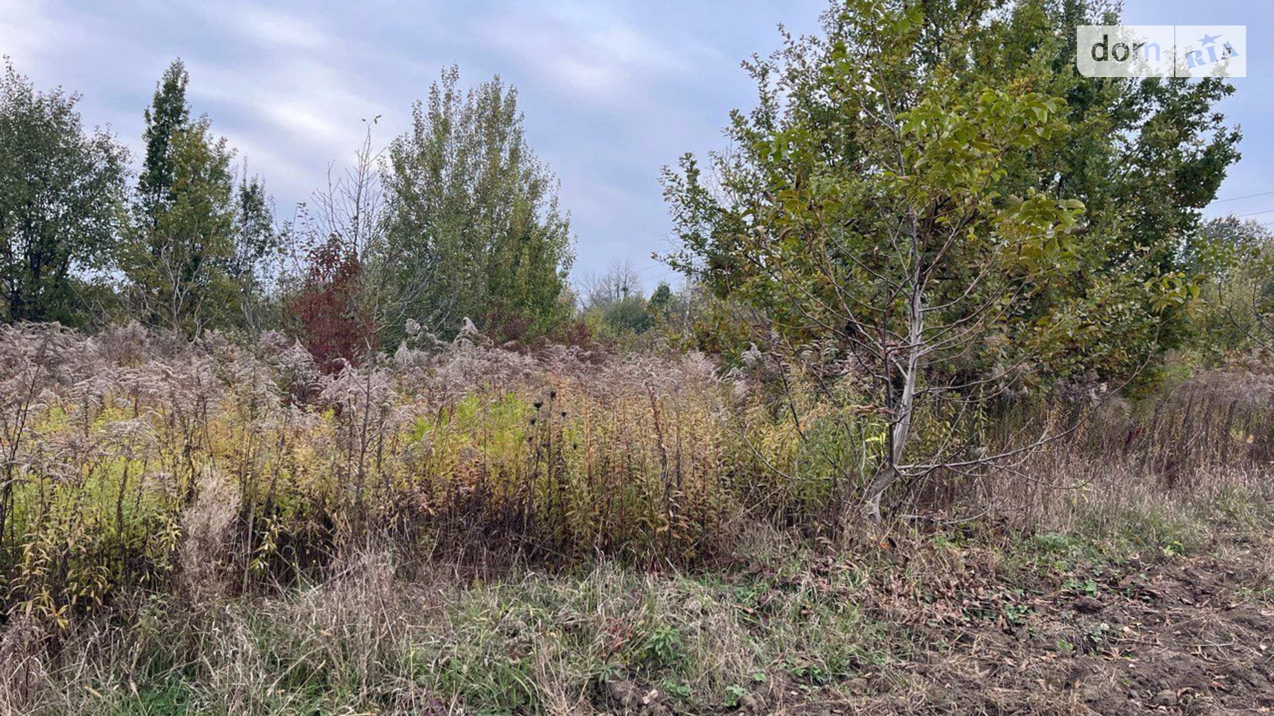 Продается земельный участок 0.8265 соток в Черновицкой области, цена: 12358985 грн - фото 5