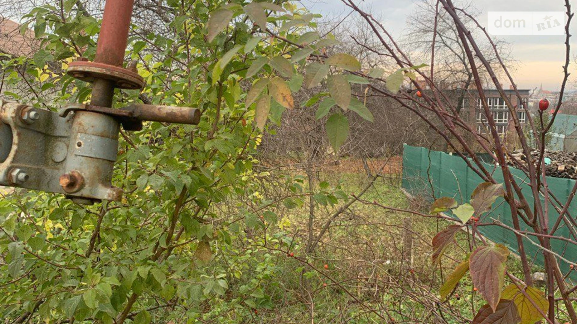 Продается земельный участок 0.1016 соток в Черновицкой области, цена: 1109381 грн - фото 5