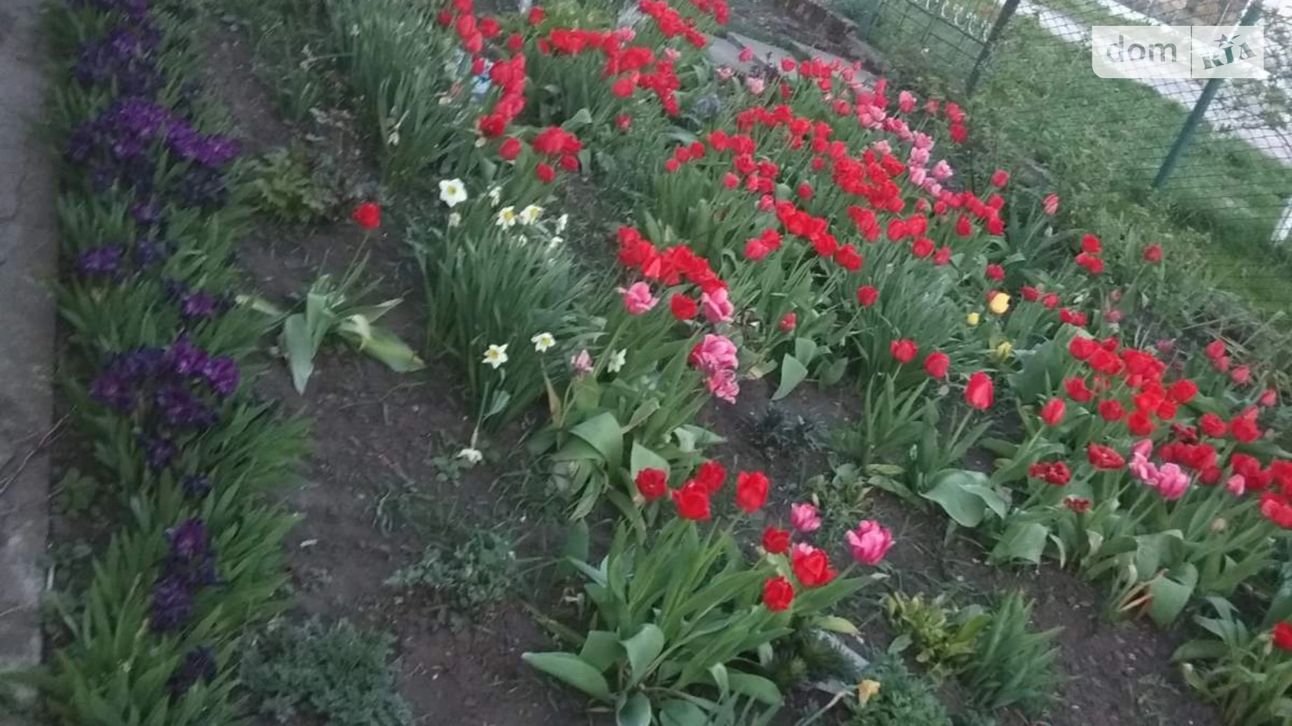 Продается одноэтажный дом 51.9 кв. м с мебелью, цена: 27000 $ - фото 3