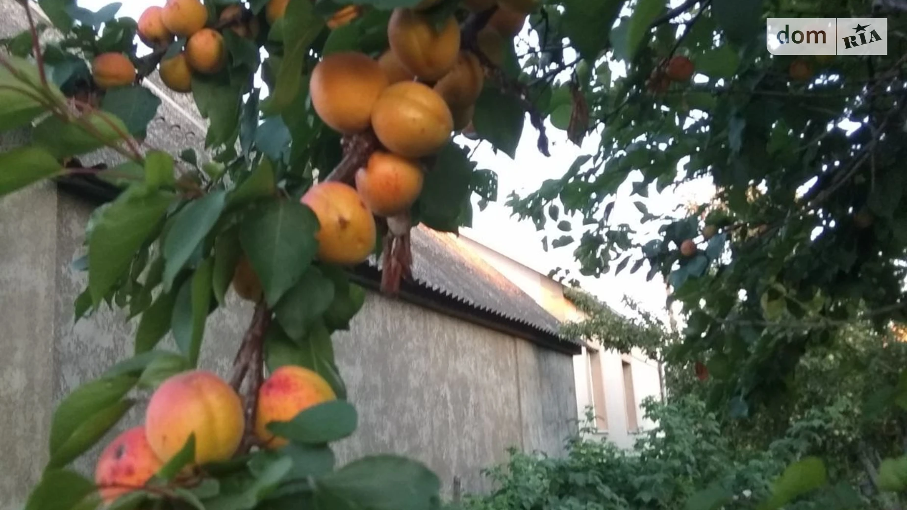 Продается одноэтажный дом 51.9 кв. м с мебелью, цена: 27000 $ - фото 4