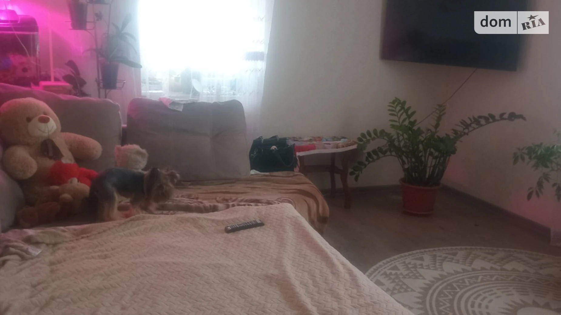 Сдается в аренду комната 17 кв. м в Хмельницком, цена: 4500 грн - фото 2