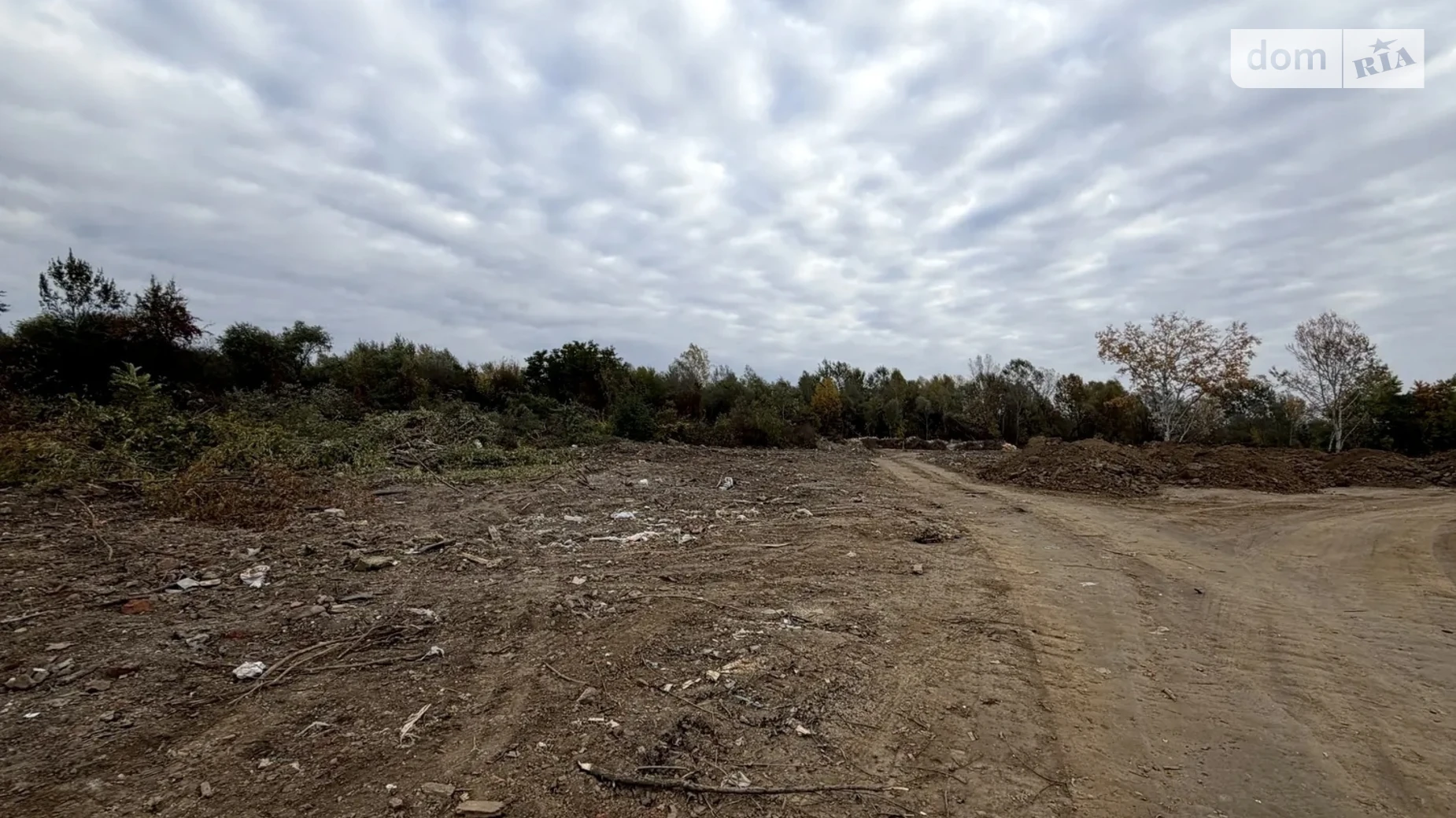 Продается земельный участок 10 соток в Закарпатской области, цена: 35000 $ - фото 3