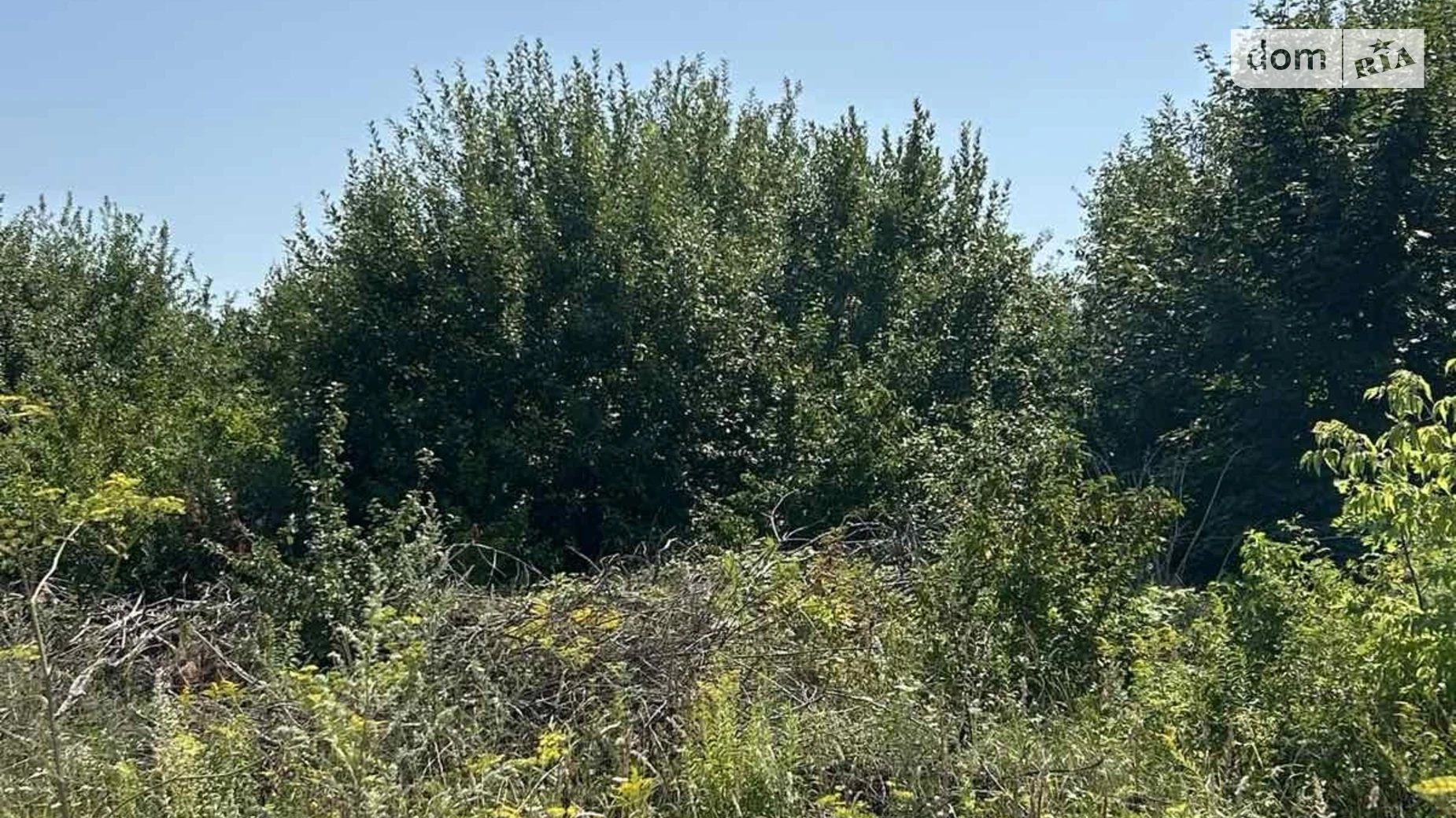 Продается земельный участок 150 соток в Хмельницкой области, цена: 175000 $ - фото 5