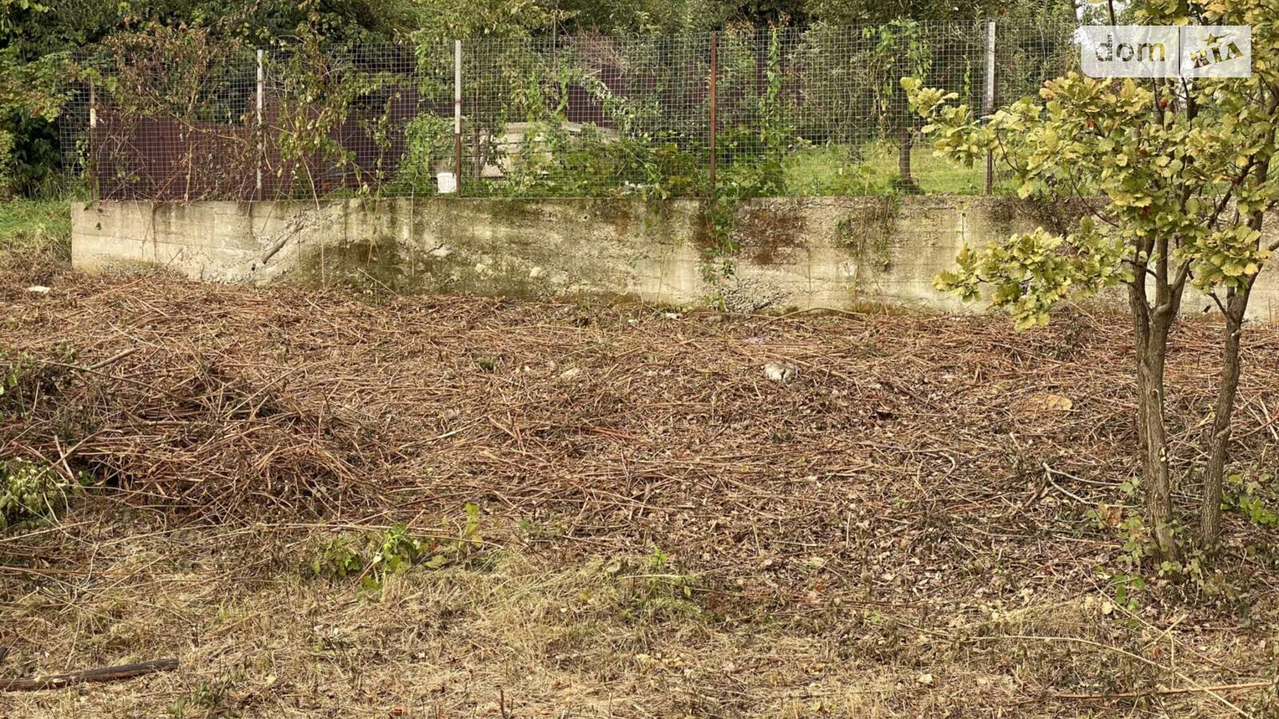 БАМ Ужгород, цена: 72000 $ - фото 4