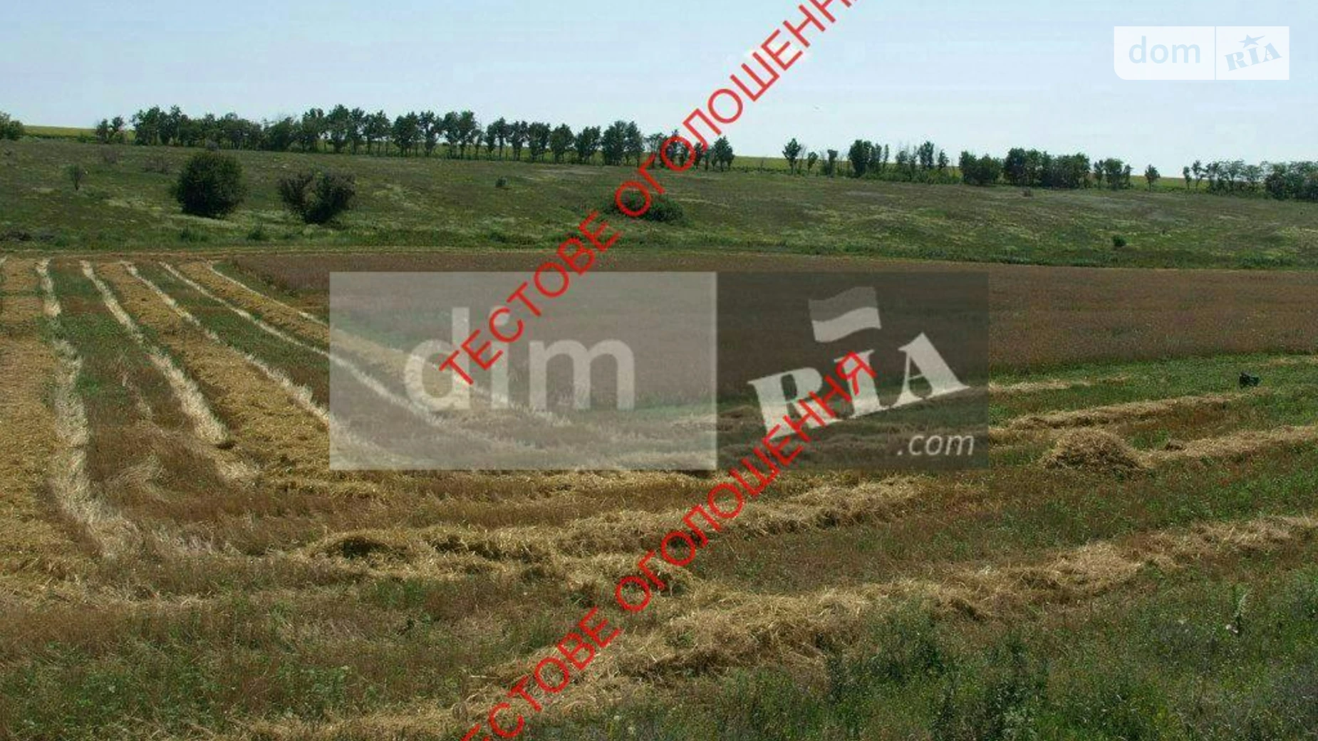 вул. Светлая, 78 Щербани, цена: 30000 $ - фото 5