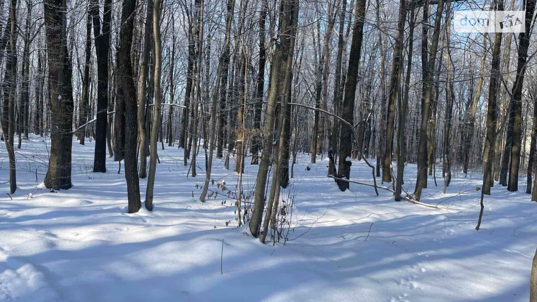 Сдается в аренду земельный участок 0.15 соток в Винницкой области, цена: 42695 грн - фото 3