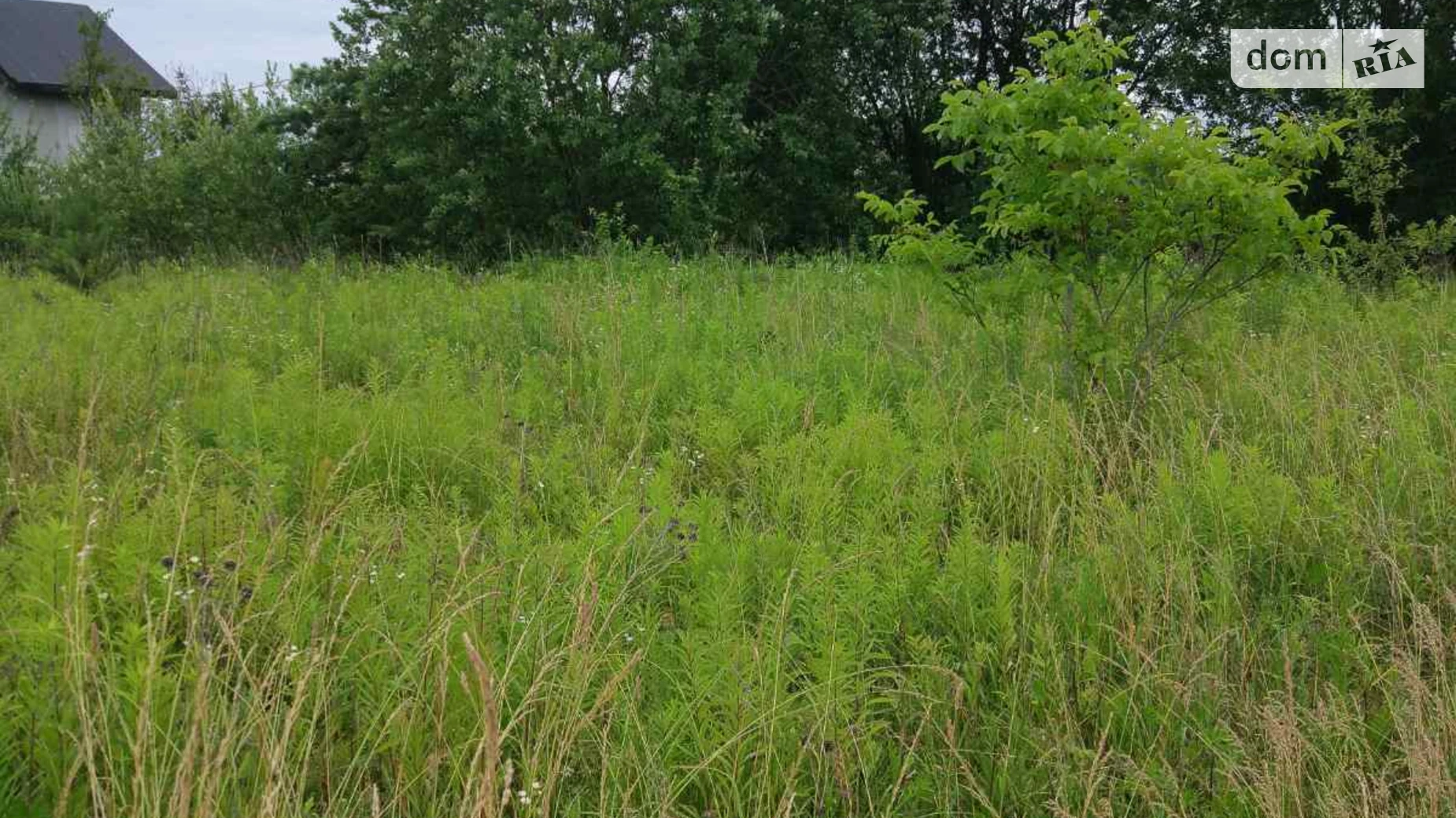 Продается земельный участок 10 соток в Житомирской области, цена: 16500 $ - фото 2