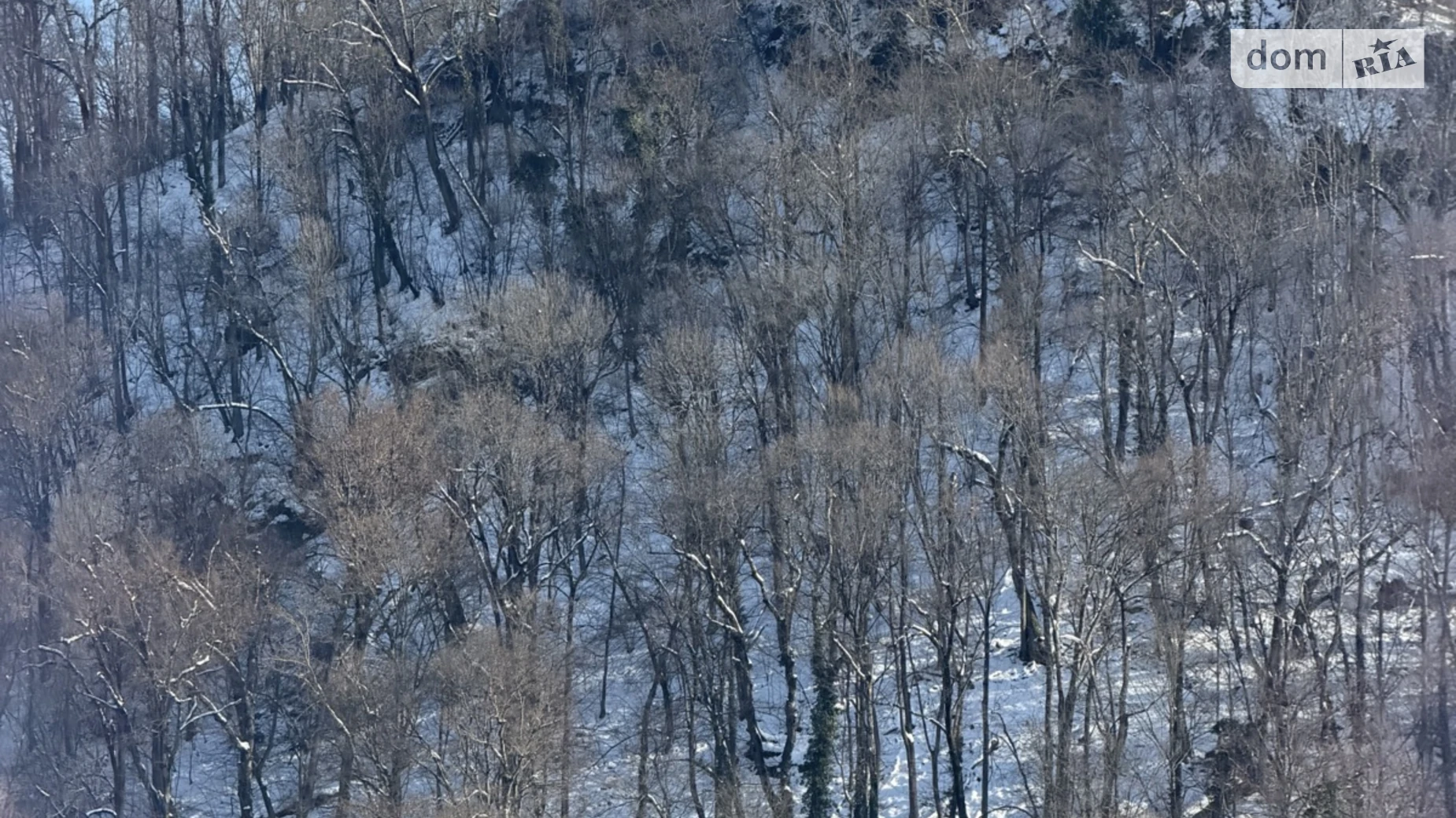 Продается земельный участок 12.64 соток в Закарпатской области, цена: 62000 $ - фото 4