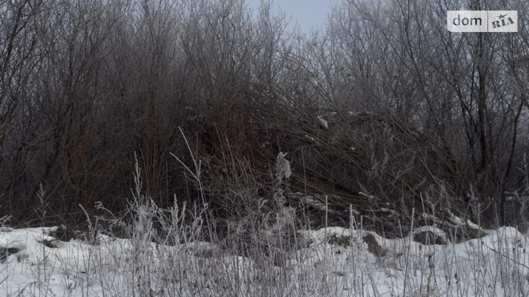 Продается земельный участок 7.73 соток в Закарпатской области, цена: 65000 $ - фото 2