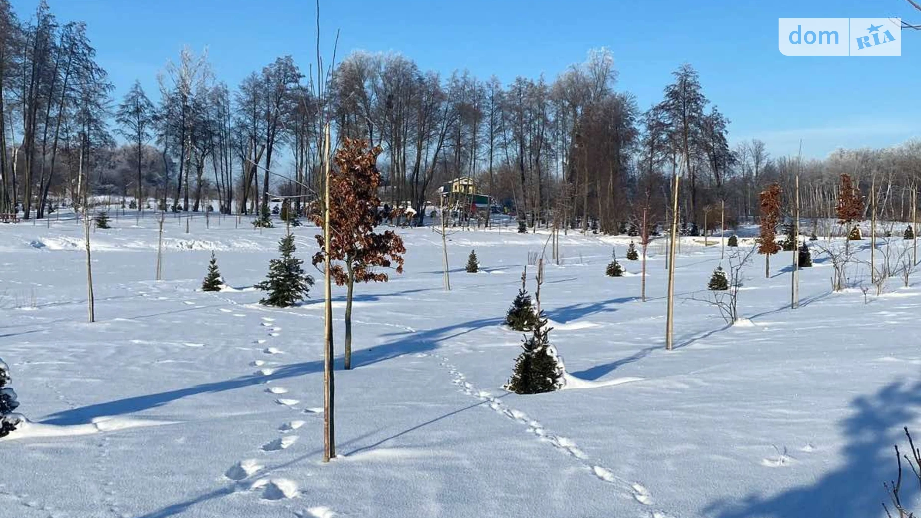 Здається в оренду земельна ділянка 9.1121 соток у  області, цена: 33446 грн - фото 3